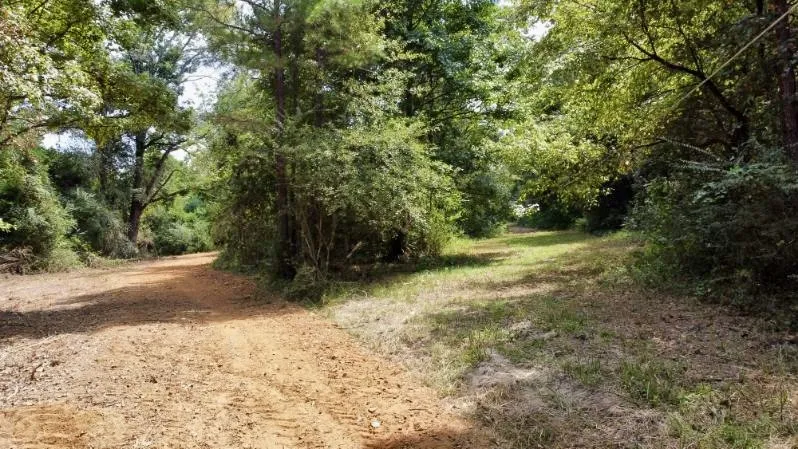 Improved Land For Sale in Cass County , 1317 N Main Street, Linden, Texas 75563, 0, 0, Garage spaces, 0 Sqft, built in 0, mls#21348276, Real Estate Agent in Linden, Homes For Sale in Cass county, Homes For Sale in Linden, Realtor in Linden Texas, Real Estate Brokerage Independent Realty Texas, Luminita Cordes Realtor