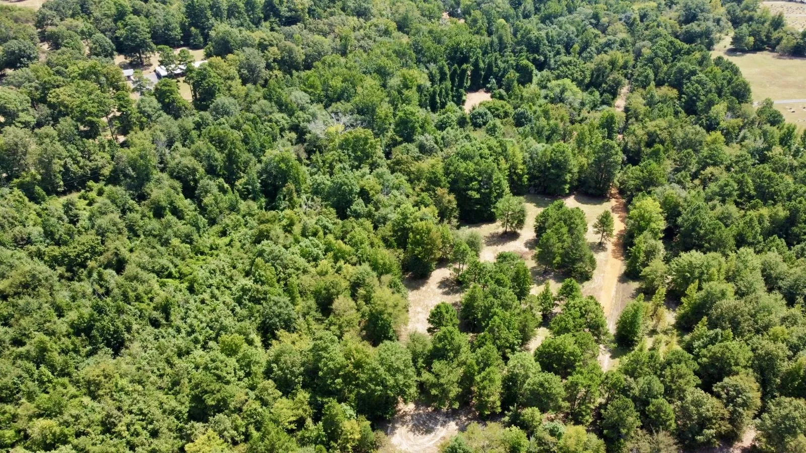 Improved Land For Sale in Cass County , 1317 N Main Street, Linden, Texas 75563, 0, 0, Garage spaces, 0 Sqft, built in 0, mls#21348276, Real Estate Agent in Linden, Homes For Sale in Cass county, Homes For Sale in Linden, Realtor in Linden Texas, Real Estate Brokerage Independent Realty Texas, Luminita Cordes Realtor