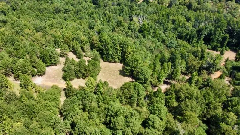 Improved Land For Sale in Cass County , 1317 N Main Street, Linden, Texas 75563, 0, 0, Garage spaces, 0 Sqft, built in 0, mls#21348276, Real Estate Agent in Linden, Homes For Sale in Cass county, Homes For Sale in Linden, Realtor in Linden Texas, Real Estate Brokerage Independent Realty Texas, Luminita Cordes Realtor