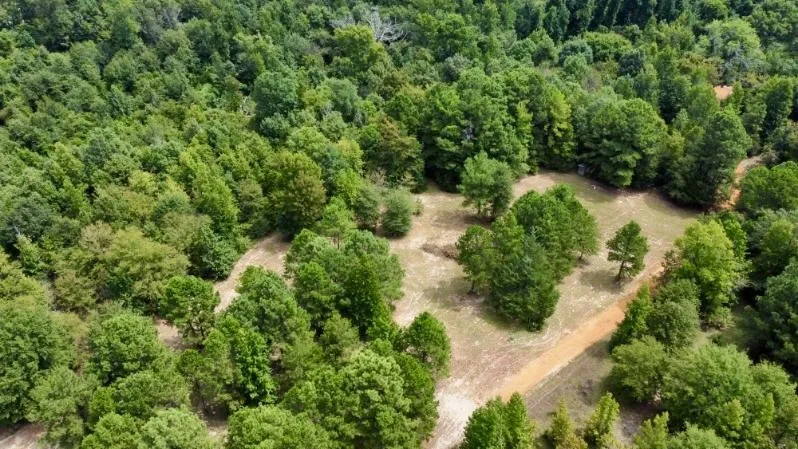 Improved Land For Sale in Cass County , 1317 N Main Street, Linden, Texas 75563, 0, 0, Garage spaces, 0 Sqft, built in 0, mls#21348276, Real Estate Agent in Linden, Homes For Sale in Cass county, Homes For Sale in Linden, Realtor in Linden Texas, Real Estate Brokerage Independent Realty Texas, Luminita Cordes Realtor