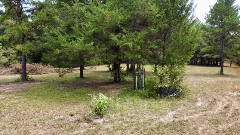 Improved Land For Sale in Cass County , 1317 N Main Street, Linden, Texas 75563, 0, 0, Garage spaces, 0 Sqft, built in 0, mls#21348276, Real Estate Agent in Linden, Homes For Sale in Cass county, Homes For Sale in Linden, Realtor in Linden Texas, Real Estate Brokerage Independent Realty Texas, Luminita Cordes Realtor