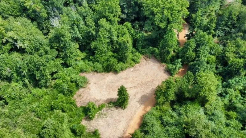 Improved Land For Sale in Cass County , 1317 N Main Street, Linden, Texas 75563, 0, 0, Garage spaces, 0 Sqft, built in 0, mls#21348276, Real Estate Agent in Linden, Homes For Sale in Cass county, Homes For Sale in Linden, Realtor in Linden Texas, Real Estate Brokerage Independent Realty Texas, Luminita Cordes Realtor