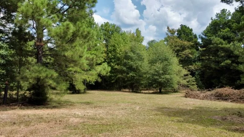 Improved Land For Sale in Cass County , 1317 N Main Street, Linden, Texas 75563, 0, 0, Garage spaces, 0 Sqft, built in 0, mls#21348276, Real Estate Agent in Linden, Homes For Sale in Cass county, Homes For Sale in Linden, Realtor in Linden Texas, Real Estate Brokerage Independent Realty Texas, Luminita Cordes Realtor