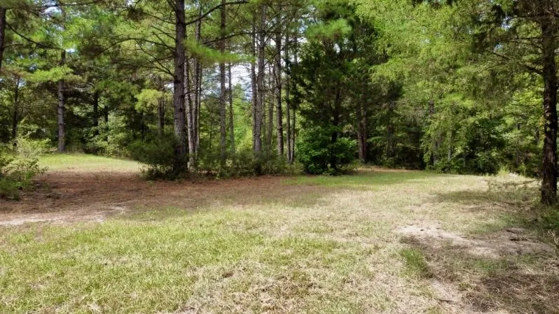 Improved Land For Sale in Cass County , 1317 N Main Street, Linden, Texas 75563, 0, 0, Garage spaces, 0 Sqft, built in 0, mls#21348276, Real Estate Agent in Linden, Homes For Sale in Cass county, Homes For Sale in Linden, Realtor in Linden Texas, Real Estate Brokerage Independent Realty Texas, Luminita Cordes Realtor