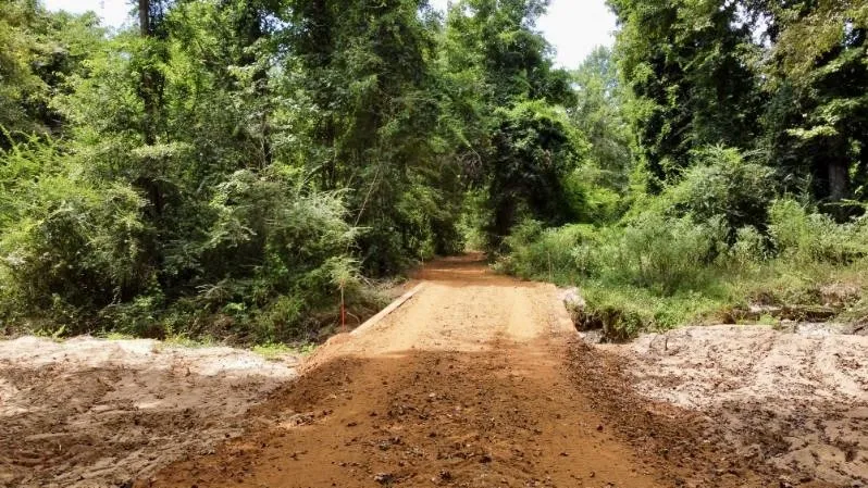 Improved Land For Sale in Cass County , 1317 N Main Street, Linden, Texas 75563, 0, 0, Garage spaces, 0 Sqft, built in 0, mls#21348276, Real Estate Agent in Linden, Homes For Sale in Cass county, Homes For Sale in Linden, Realtor in Linden Texas, Real Estate Brokerage Independent Realty Texas, Luminita Cordes Realtor