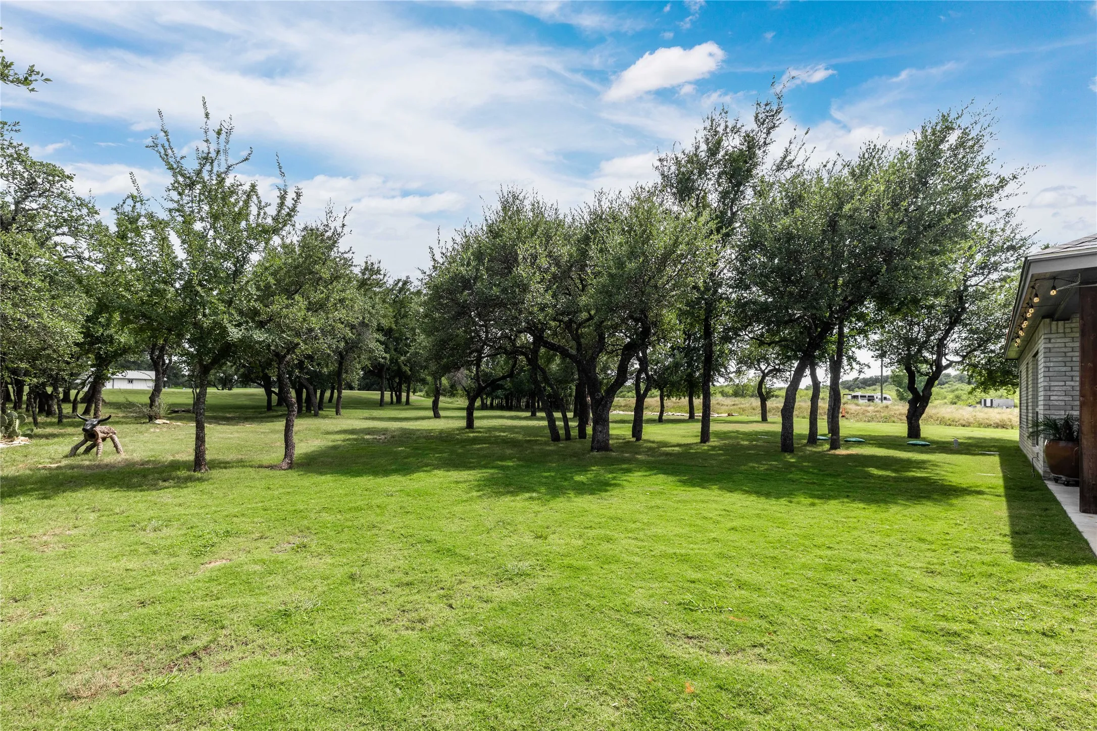 Expansive green lawn with numerous mature trees providing natural shading