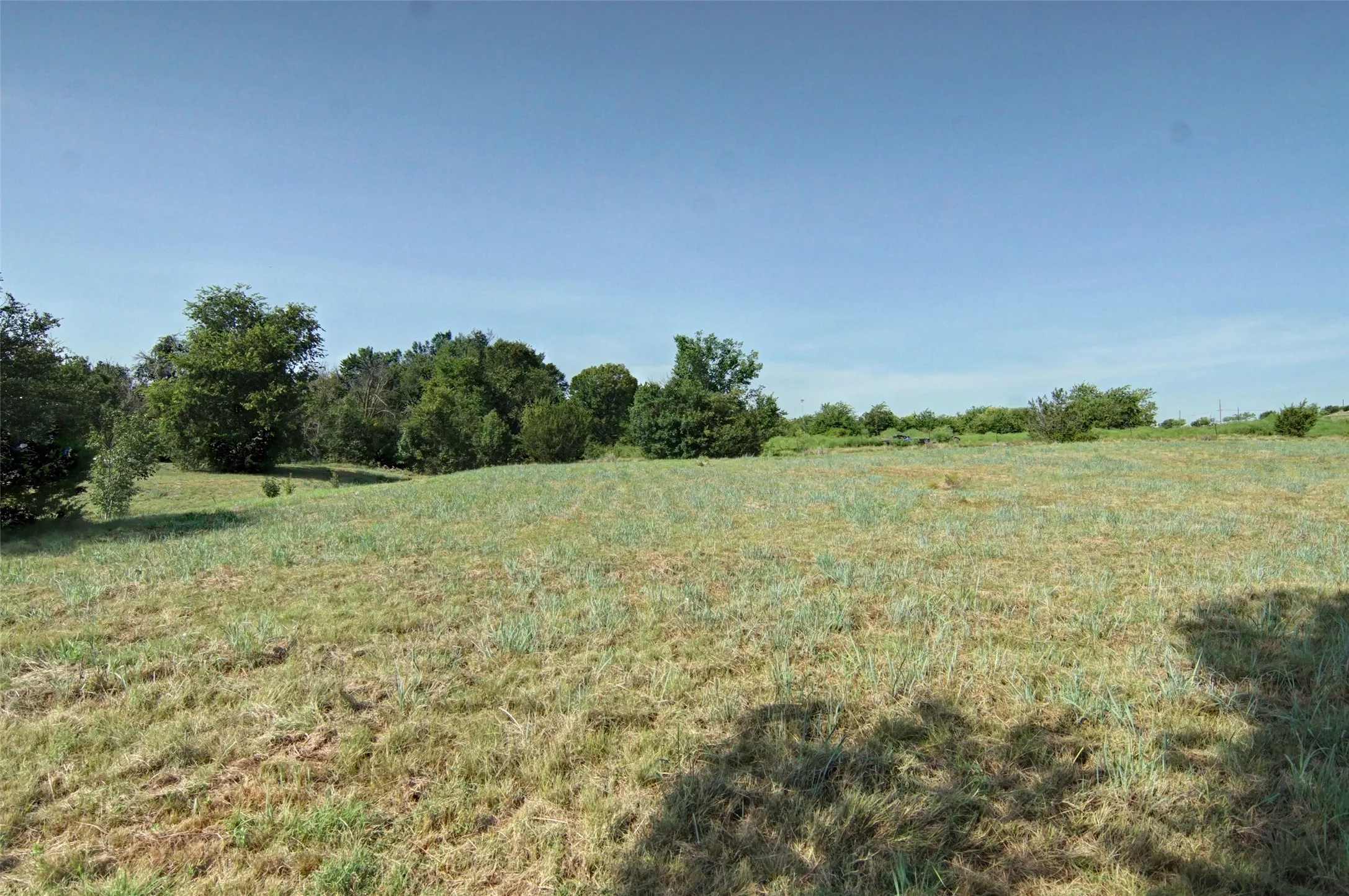 Expansive open field with natural grass and scattered mature trees