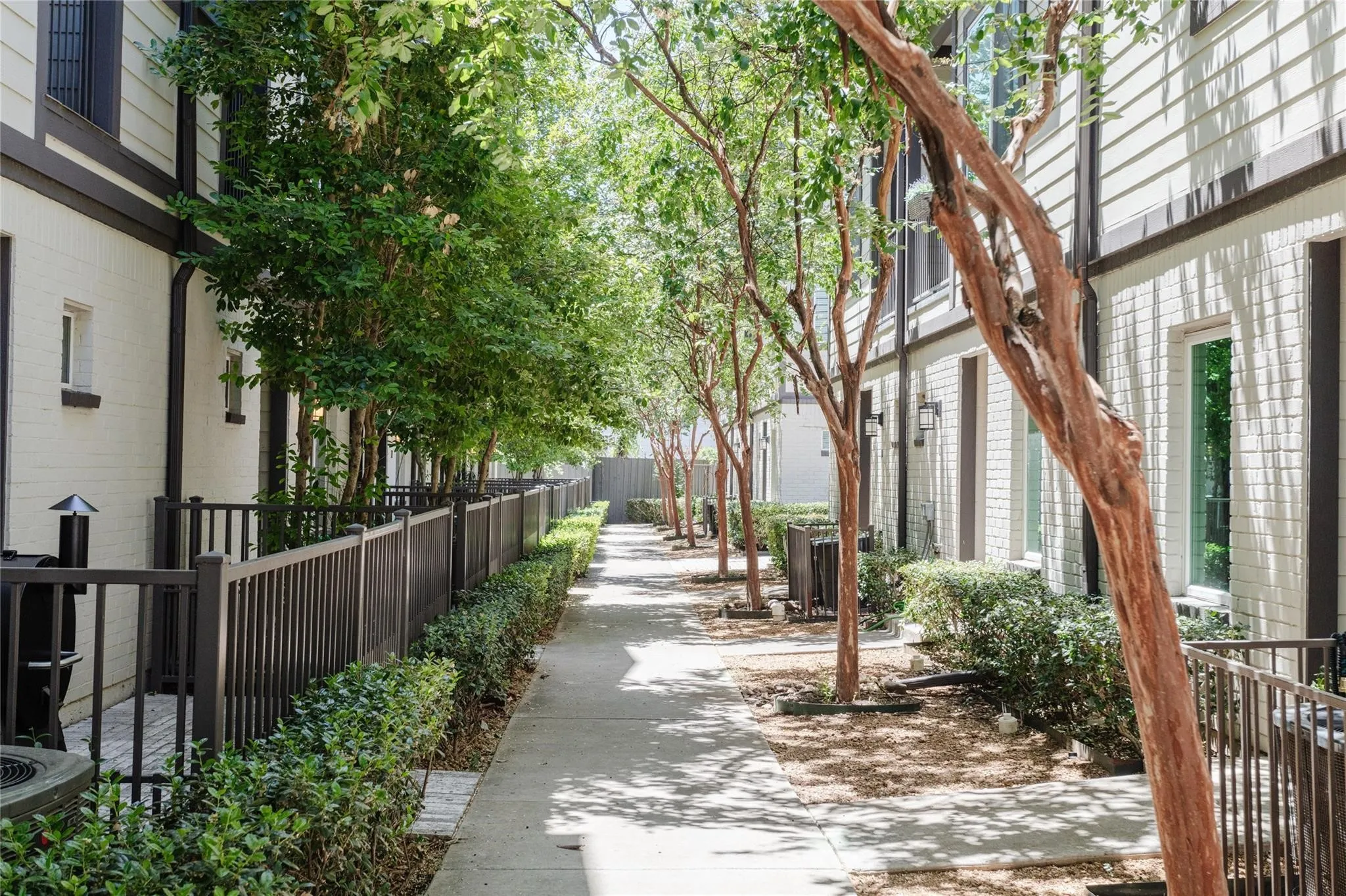 Pedestrian pathway lined with young trees and hedges