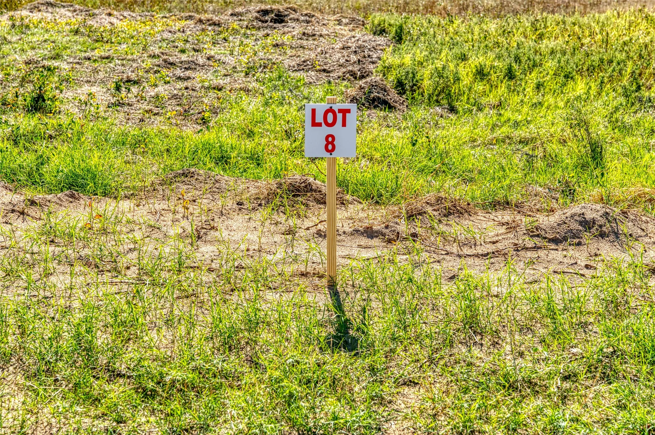 Unimproved Land For Sale in Jack County , TBD Coyote Meadow Lane, Perrin, Texas 76486, 0, 0, Garage spaces, 0 Sqft, built in 0, mls#21322946, Real Estate Agent in Perrin, Homes For Sale in Jack county, Homes For Sale in Perrin, Realtor in Perrin Texas, Real Estate Brokerage Independent Realty Texas, Luminita Cordes Realtor