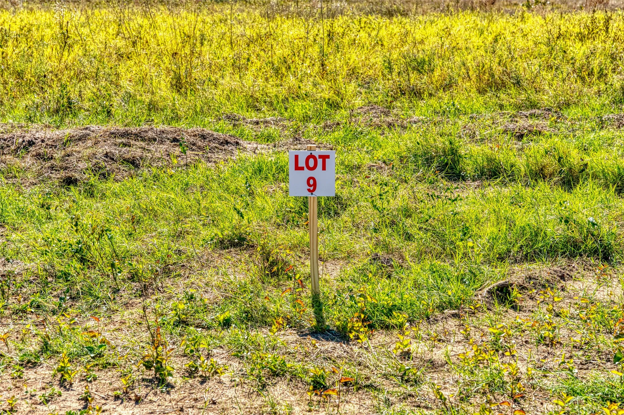 Unimproved Land For Sale in Jack County , TBD Coyote Meadow Lane, Perrin, Texas 76486, 0, 0, Garage spaces, 0 Sqft, built in 0, mls#21322946, Real Estate Agent in Perrin, Homes For Sale in Jack county, Homes For Sale in Perrin, Realtor in Perrin Texas, Real Estate Brokerage Independent Realty Texas, Luminita Cordes Realtor