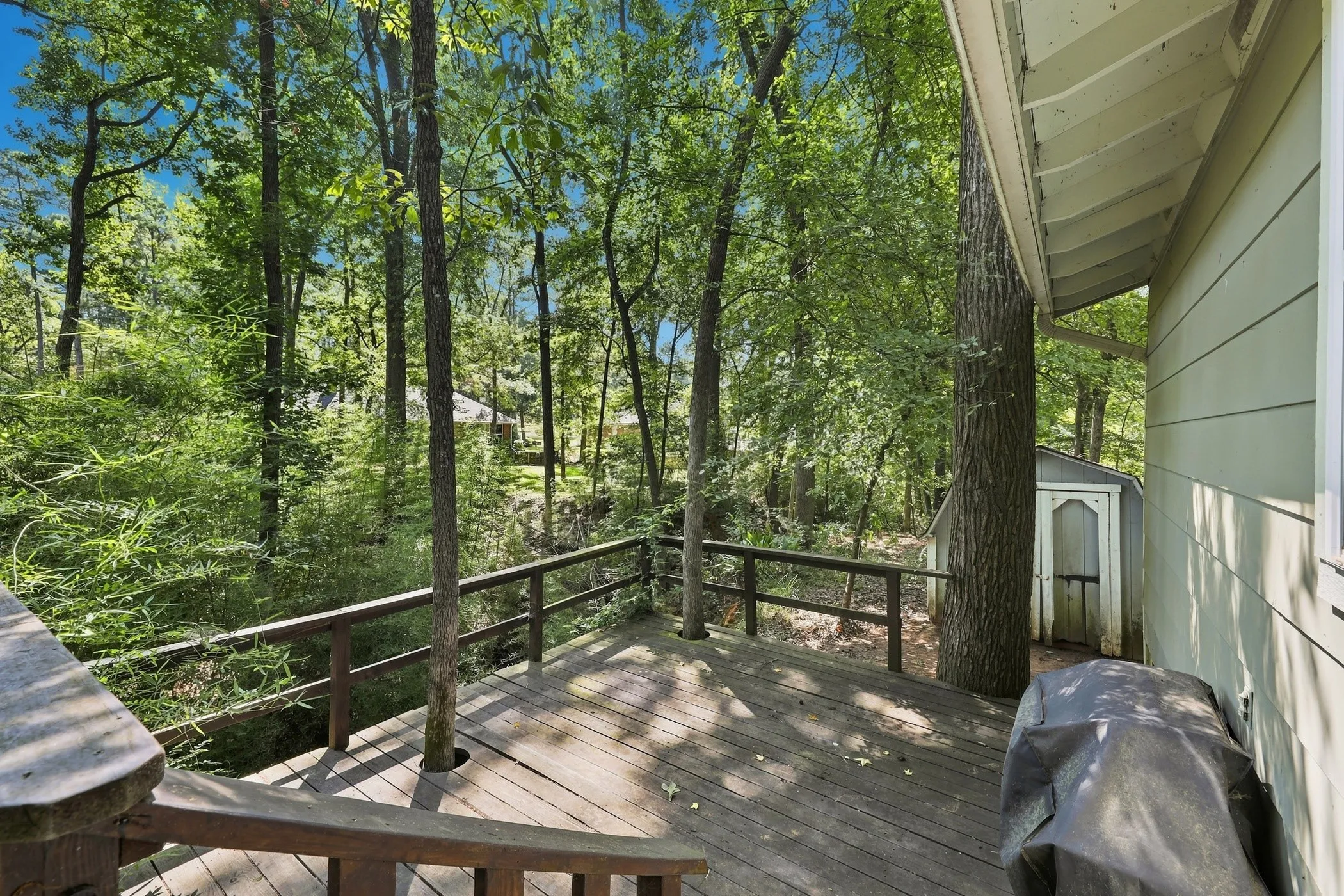 Wood deck with a natural finish, featuring a surrounding railing, integrated mature trees, and a tree-lined backdrop