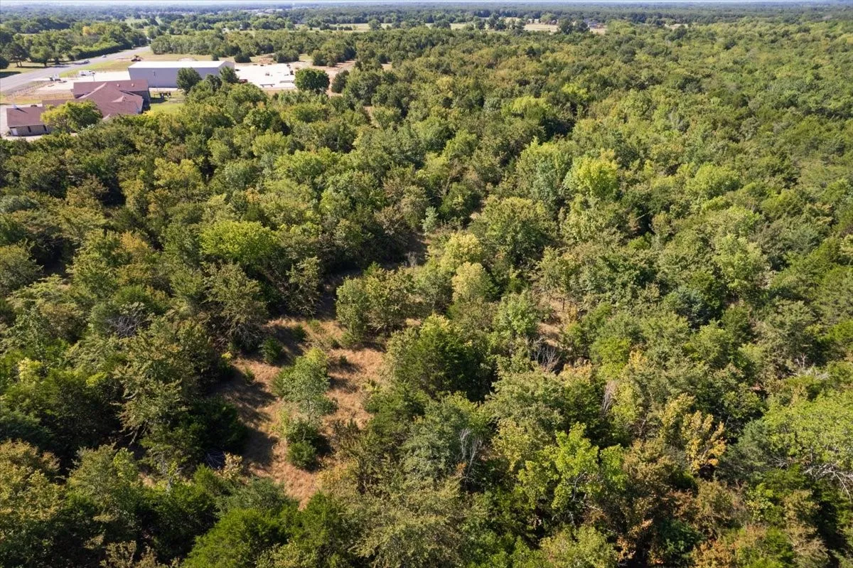 View looking South towards Lone Oak