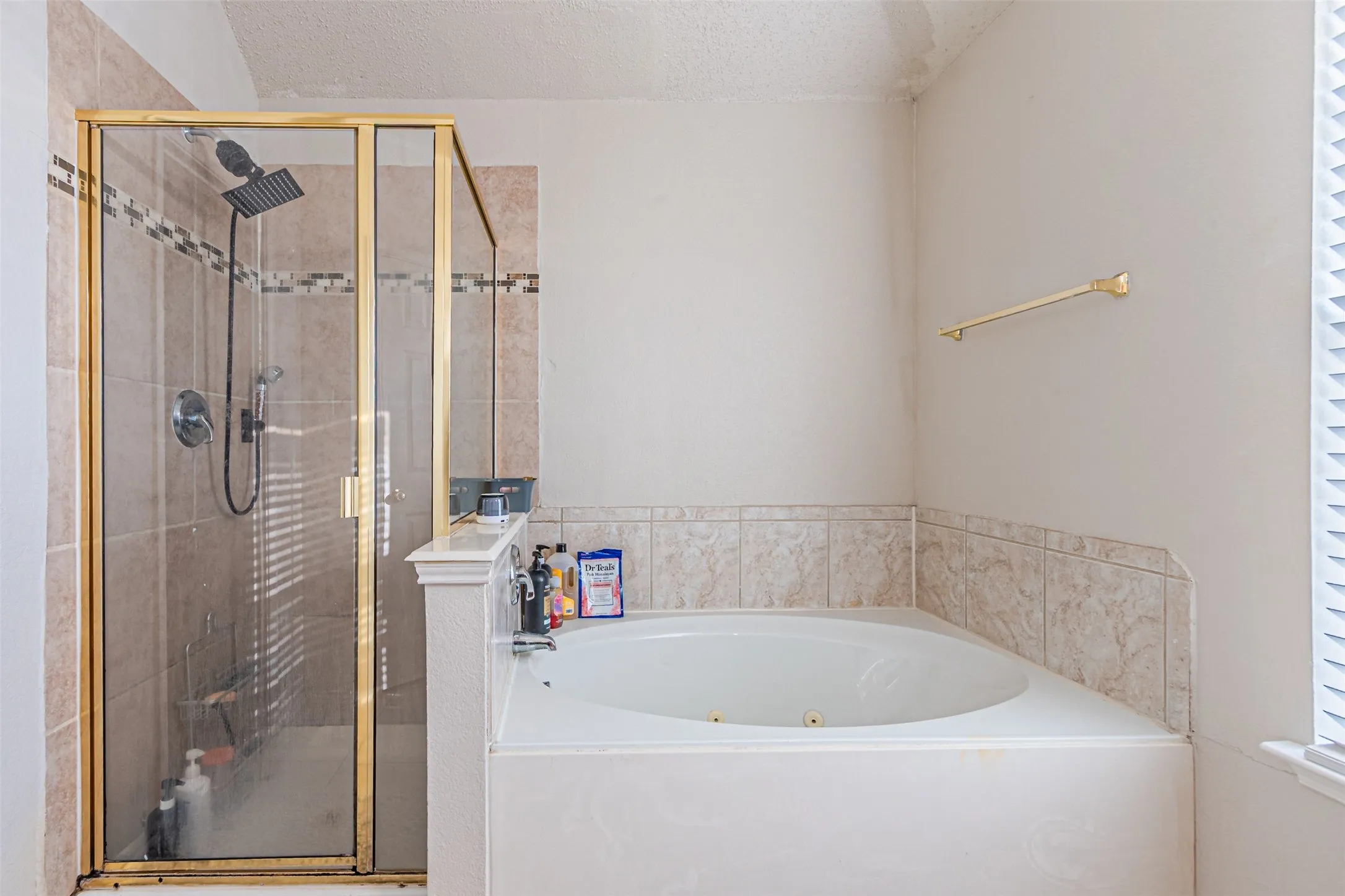 Master tub and shower