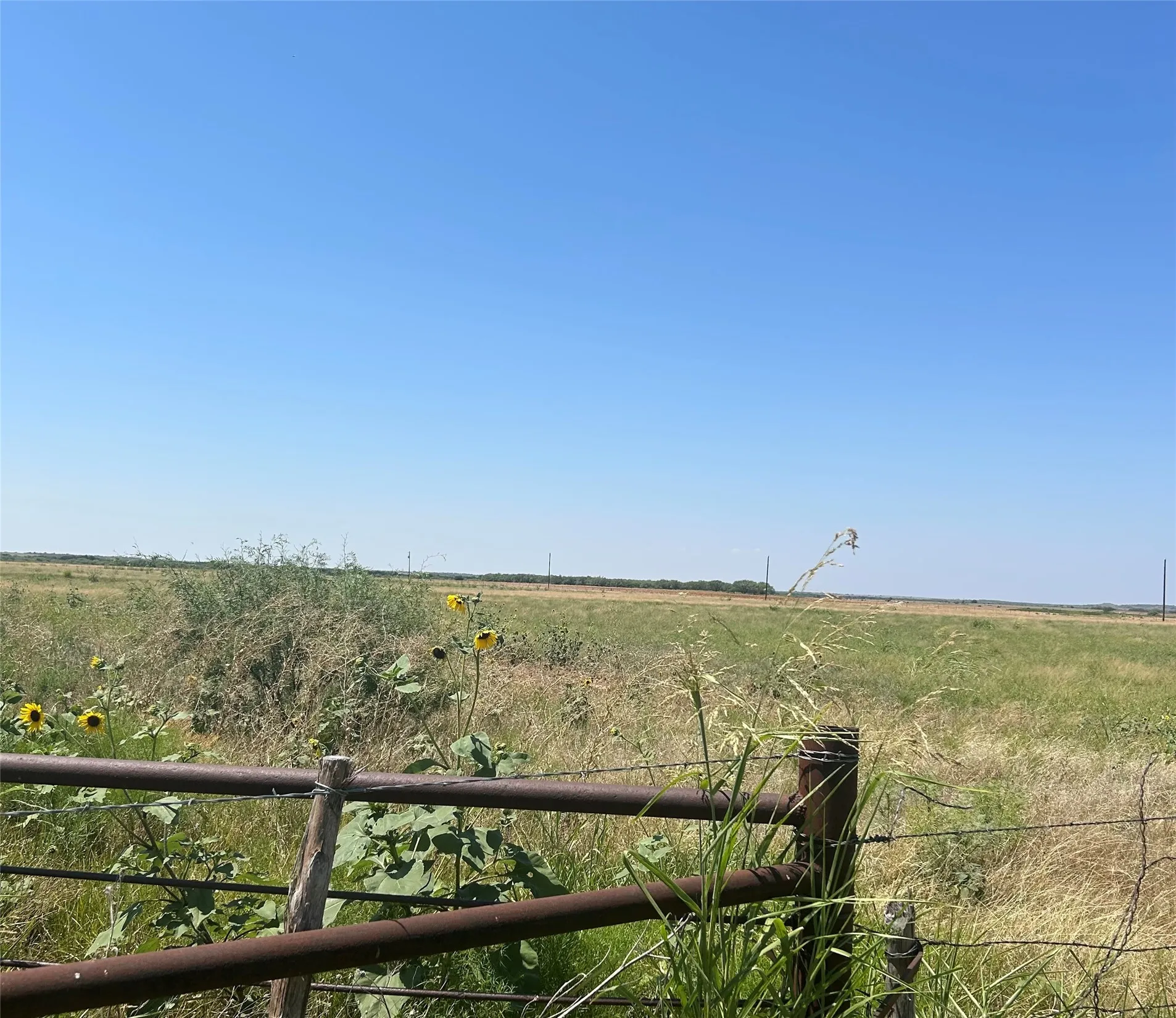 Improved Land For Sale in Young County , 0000 Schlegel Road, Olney, Texas 76374, 0, 0, Garage spaces, 0 Sqft, built in 0, Price $99,900, mls#21348345, Real Estate Agent in Olney, Homes For Sale in Young county, Homes For Sale in Olney, Realtor in Olney Texas, Real Estate Brokerage Independent Realty Texas, Luminita Cordes Realtor