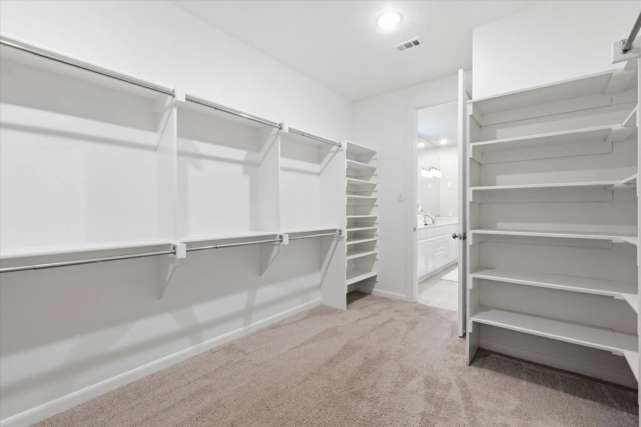 Spacious walk-in closet featuring extensive built-in shelving, chrome hanging rods, and neutral carpet flooring