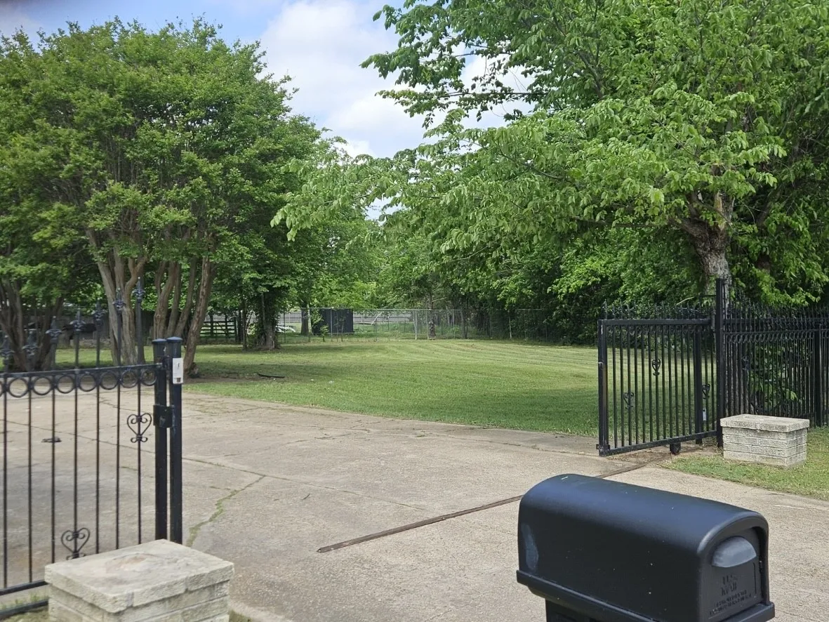 Gated entrance with black wrought iron fencing, concrete driveway, and mature landscaping