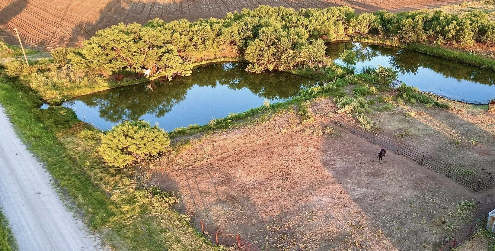 Improved Land For Sale in Young County , 0 Schlegel Road, Olney, Texas 76374, 0, 0, Garage spaces, 0 Sqft, built in 0, Price $329,900, mls#21348392, Real Estate Agent in Olney, Homes For Sale in Young county, Homes For Sale in Olney, Realtor in Olney Texas, Real Estate Brokerage Independent Realty Texas, Luminita Cordes Realtor