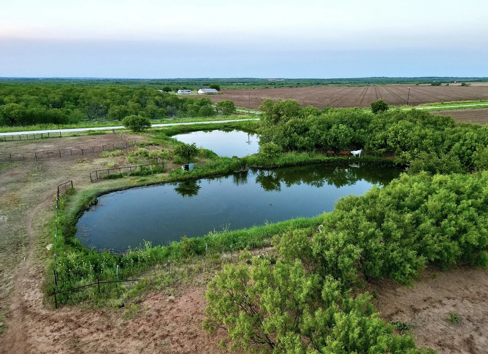 Improved Land For Sale in Young County , 0 Schlegel Road, Olney, Texas 76374, 0, 0, Garage spaces, 0 Sqft, built in 0, Price $329,900, mls#21348392, Real Estate Agent in Olney, Homes For Sale in Young county, Homes For Sale in Olney, Realtor in Olney Texas, Real Estate Brokerage Independent Realty Texas, Luminita Cordes Realtor