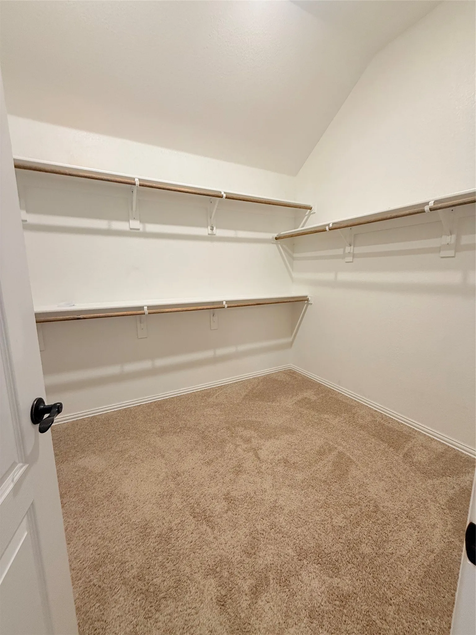 Spacious walk-in closet featuring light beige carpeting, white walls, and built-in shelving with hanging rods