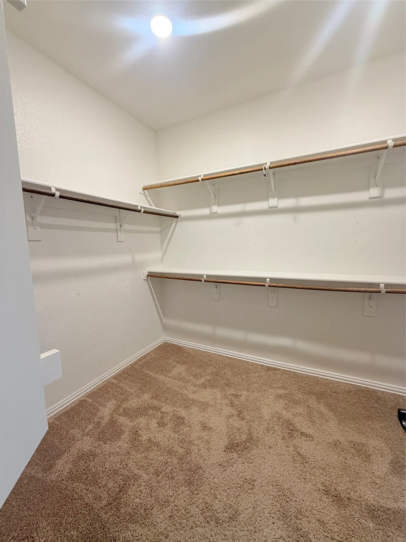 Walk-in closet featuring light brown carpet, white walls, multiple built-in shelving units, and a ceiling-mounted light fixture