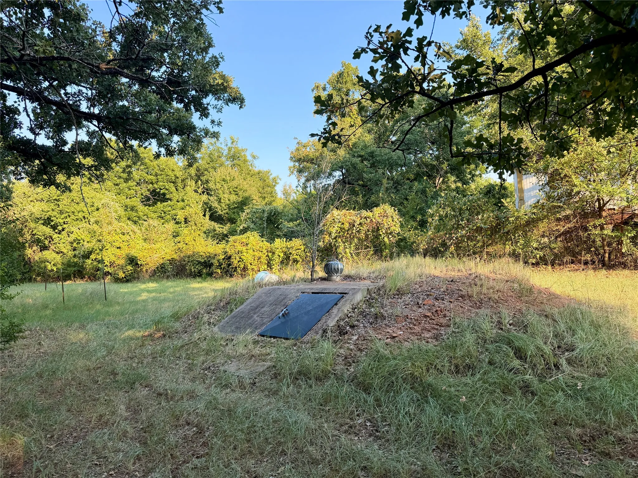 Inground Storm shelter featuring a black metal door and concrete entry, surrounded by mature trees and natural landscaping