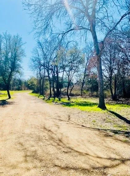 AREA FOR WALKING