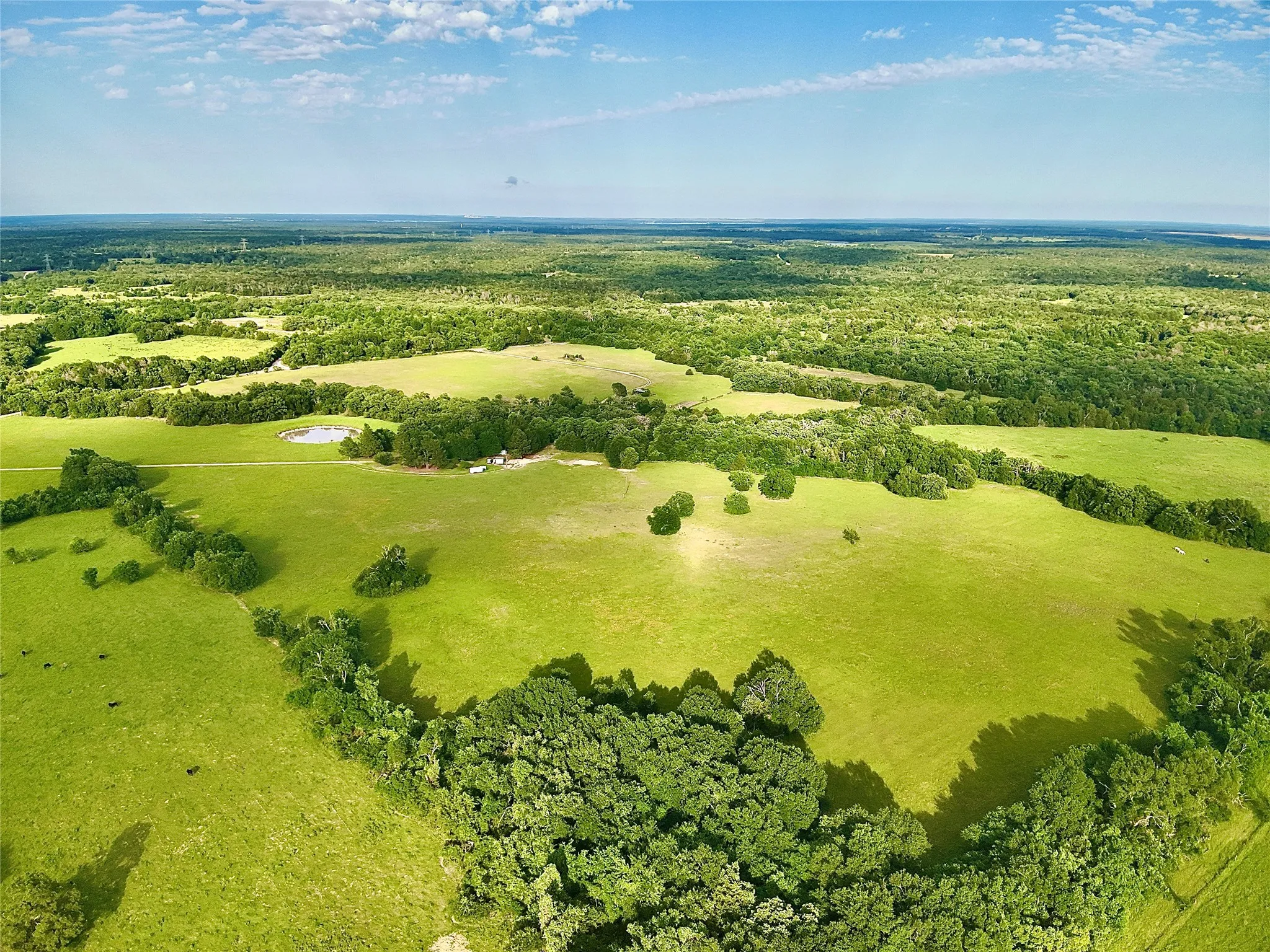 Single Family Residence For Sale in Limestone County , 2142 LCR 758, Thornton, Texas 76687, 4 Bedroom, 3 Bathroom, Garage spaces, 3,200 Sqft, built in 1996, mls#21348521, Real Estate Agent in Thornton, Homes For Sale in Limestone county, Homes For Sale in Thornton, Realtor in Thornton Texas, Real Estate Brokerage Independent Realty Texas, Luminita Cordes Realtor