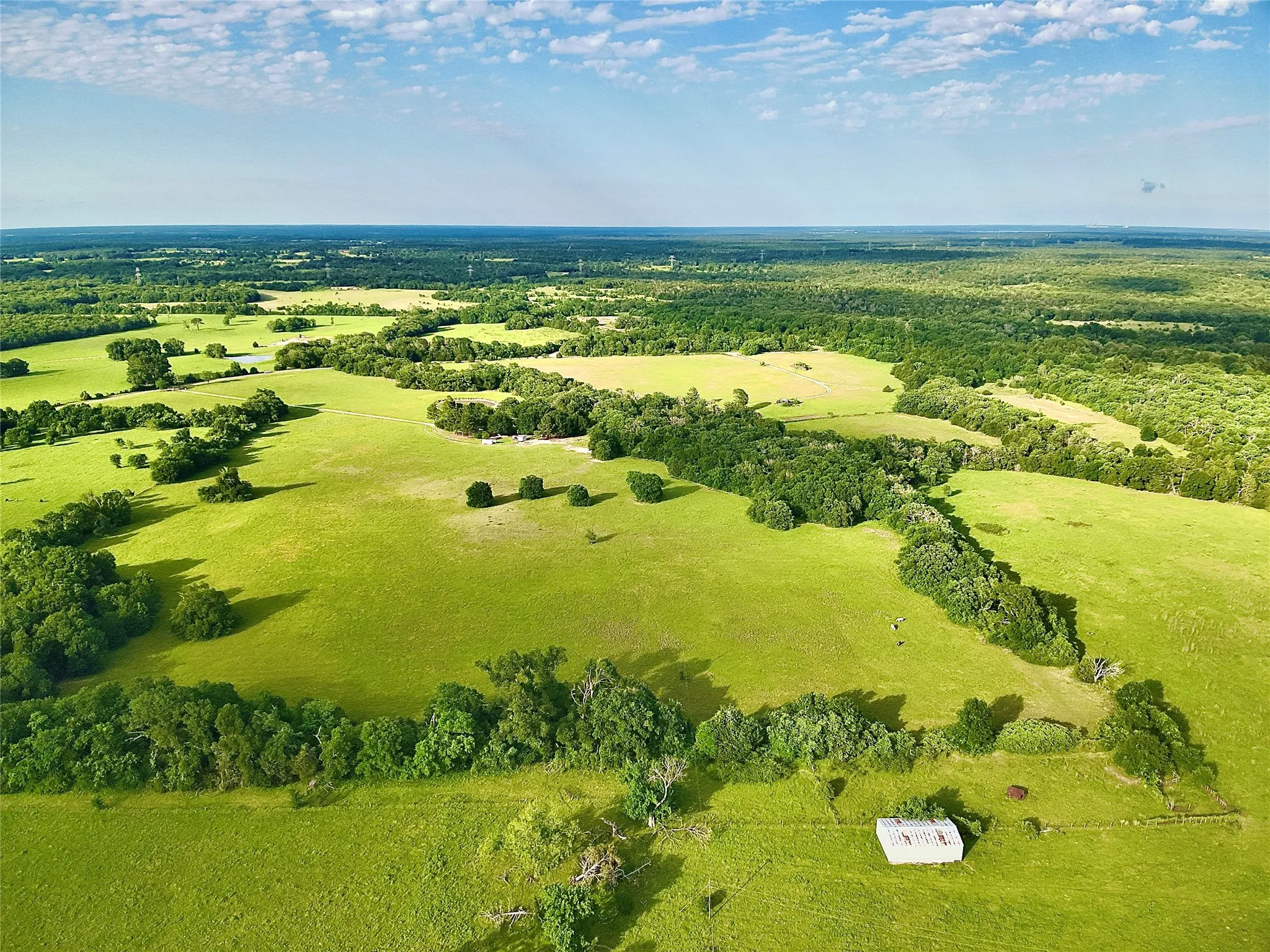 Single Family Residence For Sale in Limestone County , 2142 LCR 758, Thornton, Texas 76687, 4 Bedroom, 3 Bathroom, Garage spaces, 3,200 Sqft, built in 1996, mls#21348521, Real Estate Agent in Thornton, Homes For Sale in Limestone county, Homes For Sale in Thornton, Realtor in Thornton Texas, Real Estate Brokerage Independent Realty Texas, Luminita Cordes Realtor