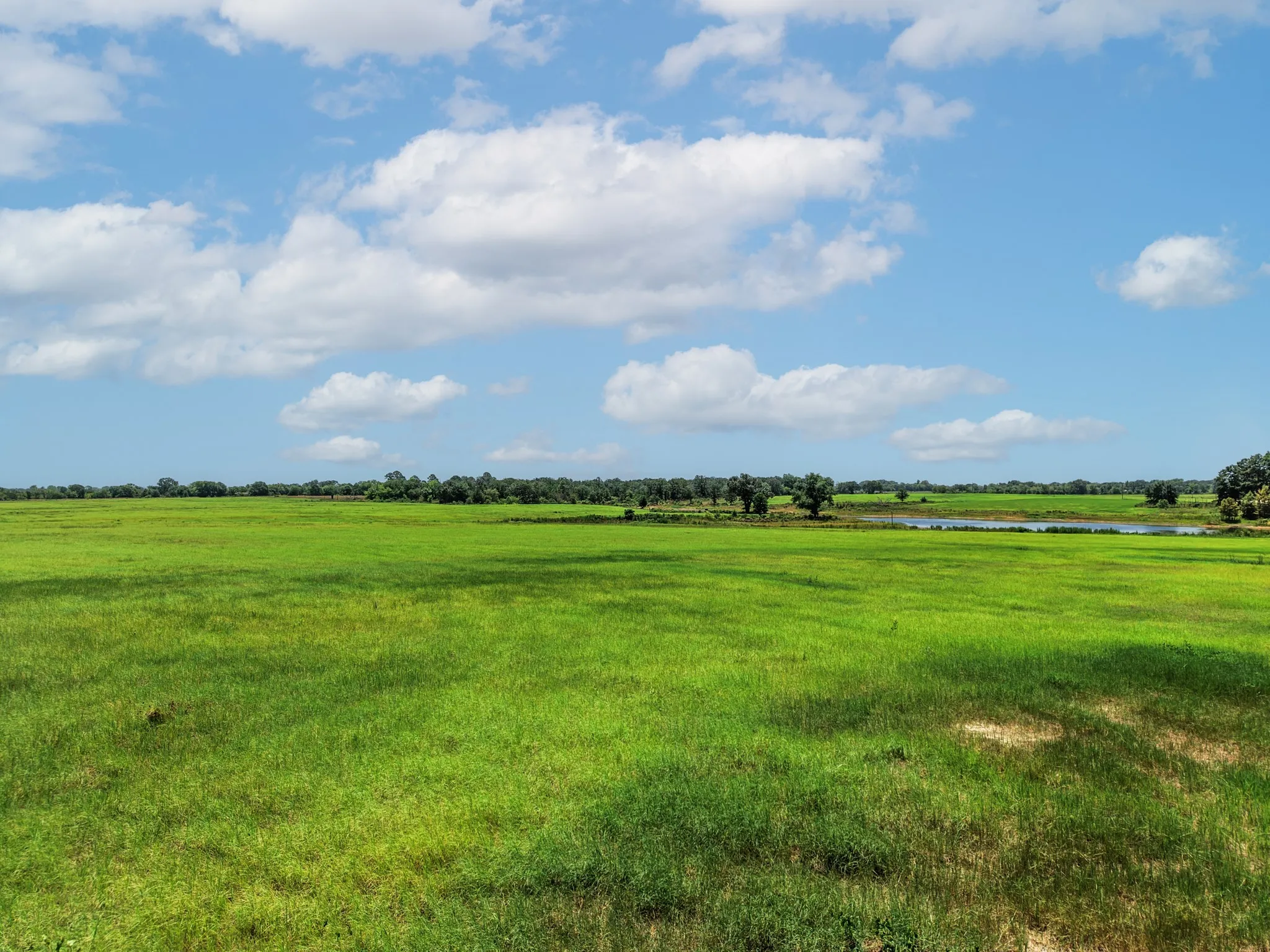 Unimproved Land For Sale in Van Zandt County , 000 County Road 1604, Grand Saline, Texas 75140, 0, 0, Garage spaces, 0 Sqft, built in 0, Price $334,000, mls#21348525, Real Estate Agent in Grand Saline, Homes For Sale in Van Zandt county, Homes For Sale in Grand Saline, Realtor in Grand Saline Texas, Real Estate Brokerage Independent Realty Texas, Luminita Cordes Realtor