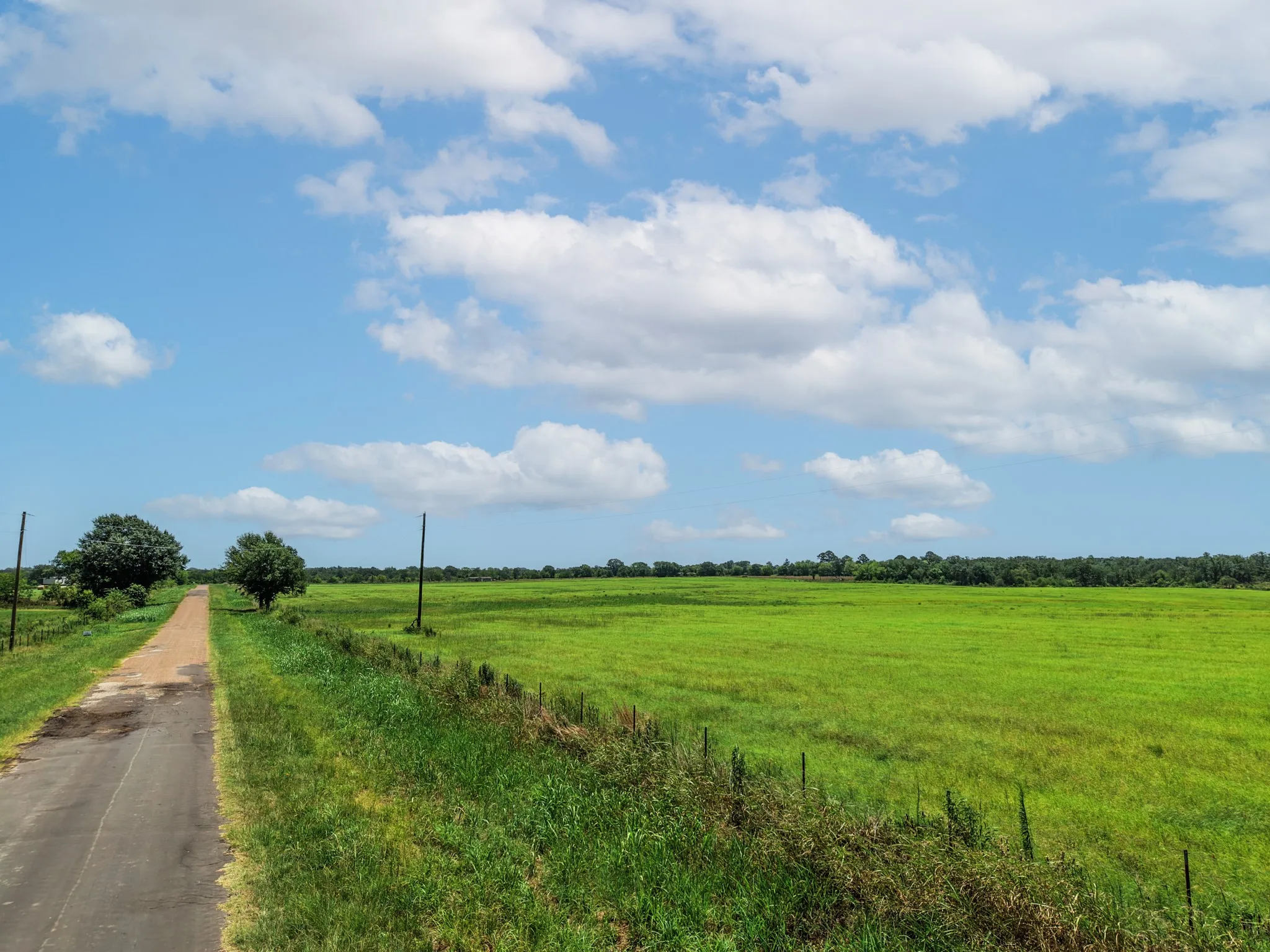 Unimproved Land For Sale in Van Zandt County , 000 County Road 1604, Grand Saline, Texas 75140, 0, 0, Garage spaces, 0 Sqft, built in 0, Price $334,000, mls#21348525, Real Estate Agent in Grand Saline, Homes For Sale in Van Zandt county, Homes For Sale in Grand Saline, Realtor in Grand Saline Texas, Real Estate Brokerage Independent Realty Texas, Luminita Cordes Realtor