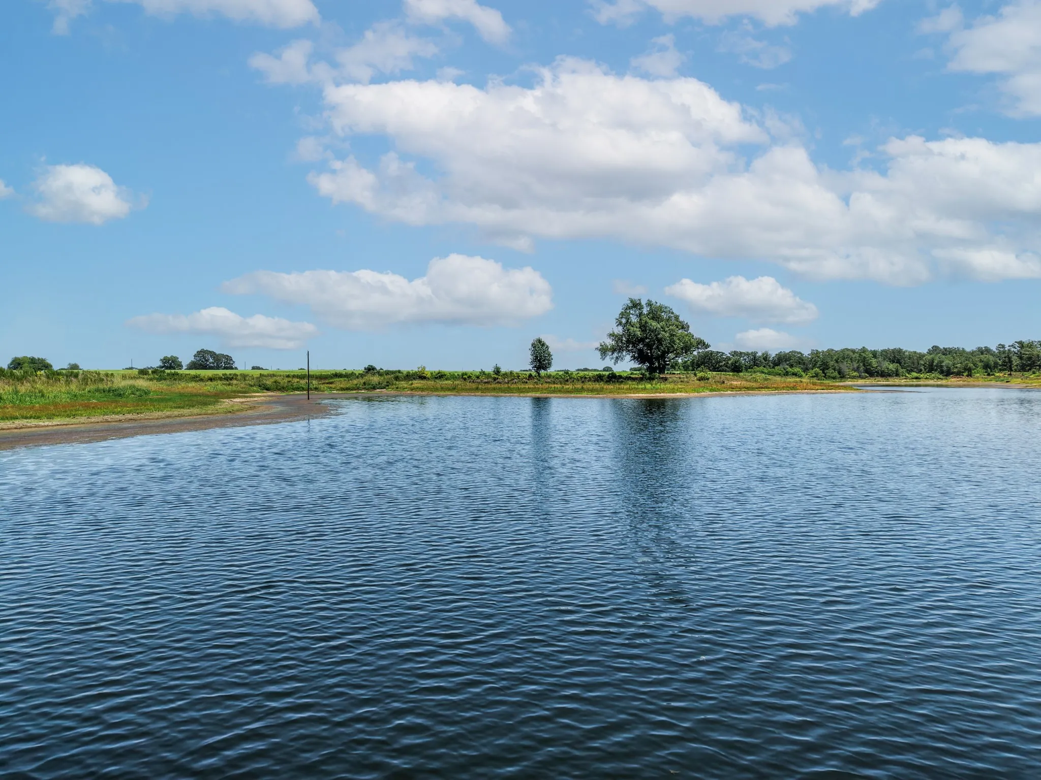 Unimproved Land For Sale in Van Zandt County , 000 County Road 1604, Grand Saline, Texas 75140, 0, 0, Garage spaces, 0 Sqft, built in 0, Price $334,000, mls#21348525, Real Estate Agent in Grand Saline, Homes For Sale in Van Zandt county, Homes For Sale in Grand Saline, Realtor in Grand Saline Texas, Real Estate Brokerage Independent Realty Texas, Luminita Cordes Realtor