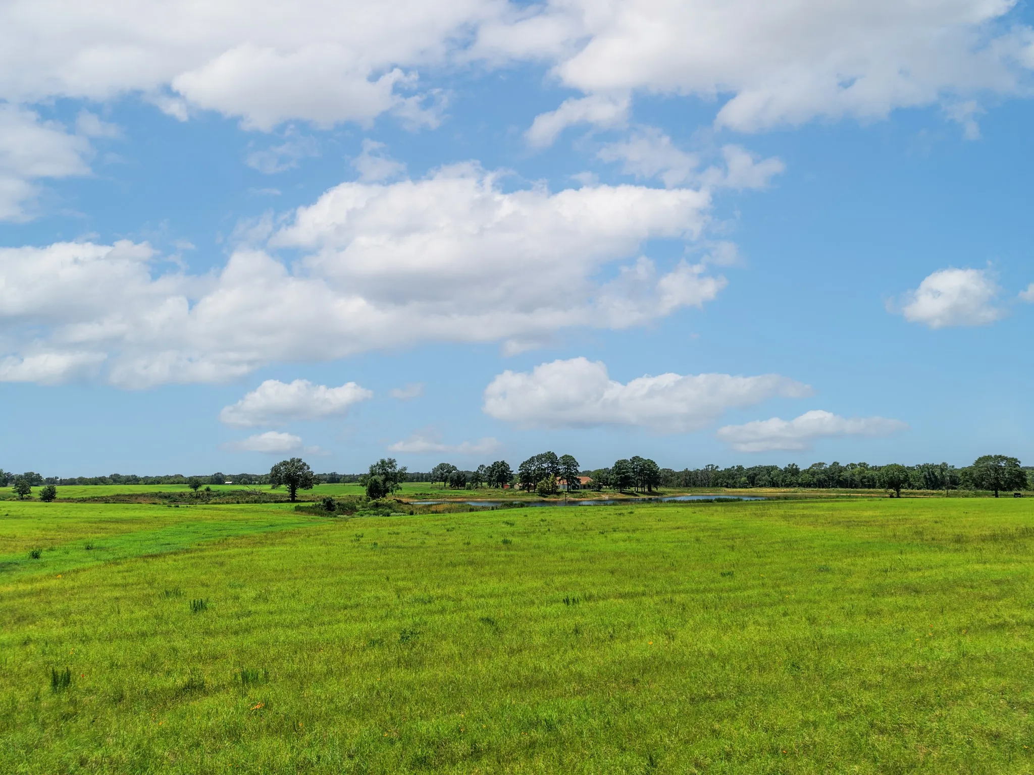 Unimproved Land For Sale in Van Zandt County , 000 County Road 1604, Grand Saline, Texas 75140, 0, 0, Garage spaces, 0 Sqft, built in 0, Price $334,000, mls#21348525, Real Estate Agent in Grand Saline, Homes For Sale in Van Zandt county, Homes For Sale in Grand Saline, Realtor in Grand Saline Texas, Real Estate Brokerage Independent Realty Texas, Luminita Cordes Realtor