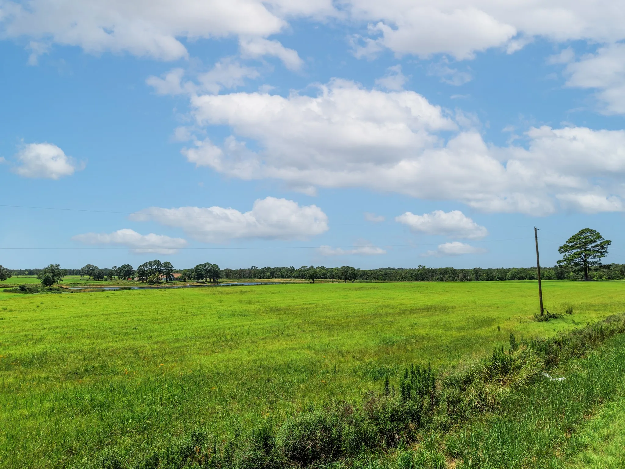 Unimproved Land For Sale in Van Zandt County , 000 County Road 1604, Grand Saline, Texas 75140, 0, 0, Garage spaces, 0 Sqft, built in 0, Price $334,000, mls#21348525, Real Estate Agent in Grand Saline, Homes For Sale in Van Zandt county, Homes For Sale in Grand Saline, Realtor in Grand Saline Texas, Real Estate Brokerage Independent Realty Texas, Luminita Cordes Realtor
