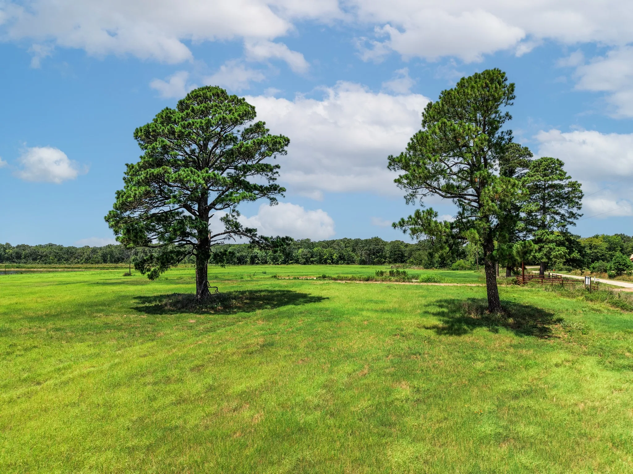 Unimproved Land For Sale in Van Zandt County , 000 County Road 1604, Grand Saline, Texas 75140, 0, 0, Garage spaces, 0 Sqft, built in 0, Price $334,000, mls#21348525, Real Estate Agent in Grand Saline, Homes For Sale in Van Zandt county, Homes For Sale in Grand Saline, Realtor in Grand Saline Texas, Real Estate Brokerage Independent Realty Texas, Luminita Cordes Realtor