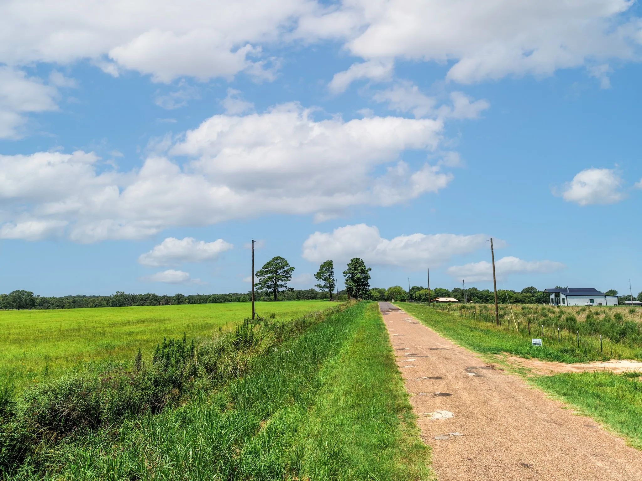 Unimproved Land For Sale in Van Zandt County , 000 County Road 1604, Grand Saline, Texas 75140, 0, 0, Garage spaces, 0 Sqft, built in 0, Price $334,000, mls#21348525, Real Estate Agent in Grand Saline, Homes For Sale in Van Zandt county, Homes For Sale in Grand Saline, Realtor in Grand Saline Texas, Real Estate Brokerage Independent Realty Texas, Luminita Cordes Realtor