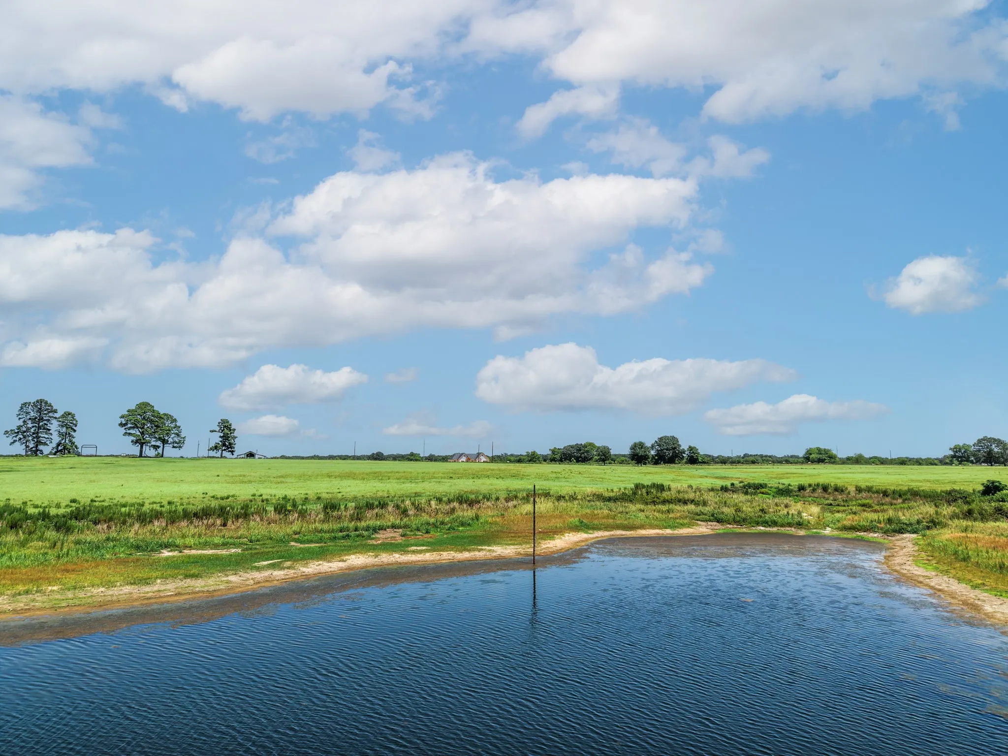 Unimproved Land For Sale in Van Zandt County , 000 County Road 1604, Grand Saline, Texas 75140, 0, 0, Garage spaces, 0 Sqft, built in 0, Price $334,000, mls#21348525, Real Estate Agent in Grand Saline, Homes For Sale in Van Zandt county, Homes For Sale in Grand Saline, Realtor in Grand Saline Texas, Real Estate Brokerage Independent Realty Texas, Luminita Cordes Realtor