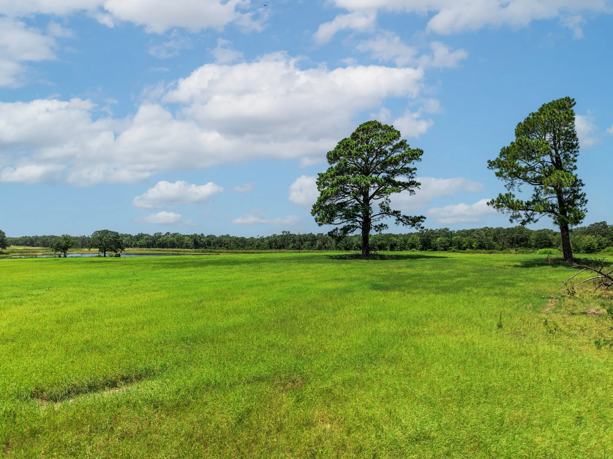 Unimproved Land For Sale in Van Zandt County , 000 County Road 1604, Grand Saline, Texas 75140, 0, 0, Garage spaces, 0 Sqft, built in 0, Price $334,000, mls#21348525, Real Estate Agent in Grand Saline, Homes For Sale in Van Zandt county, Homes For Sale in Grand Saline, Realtor in Grand Saline Texas, Real Estate Brokerage Independent Realty Texas, Luminita Cordes Realtor