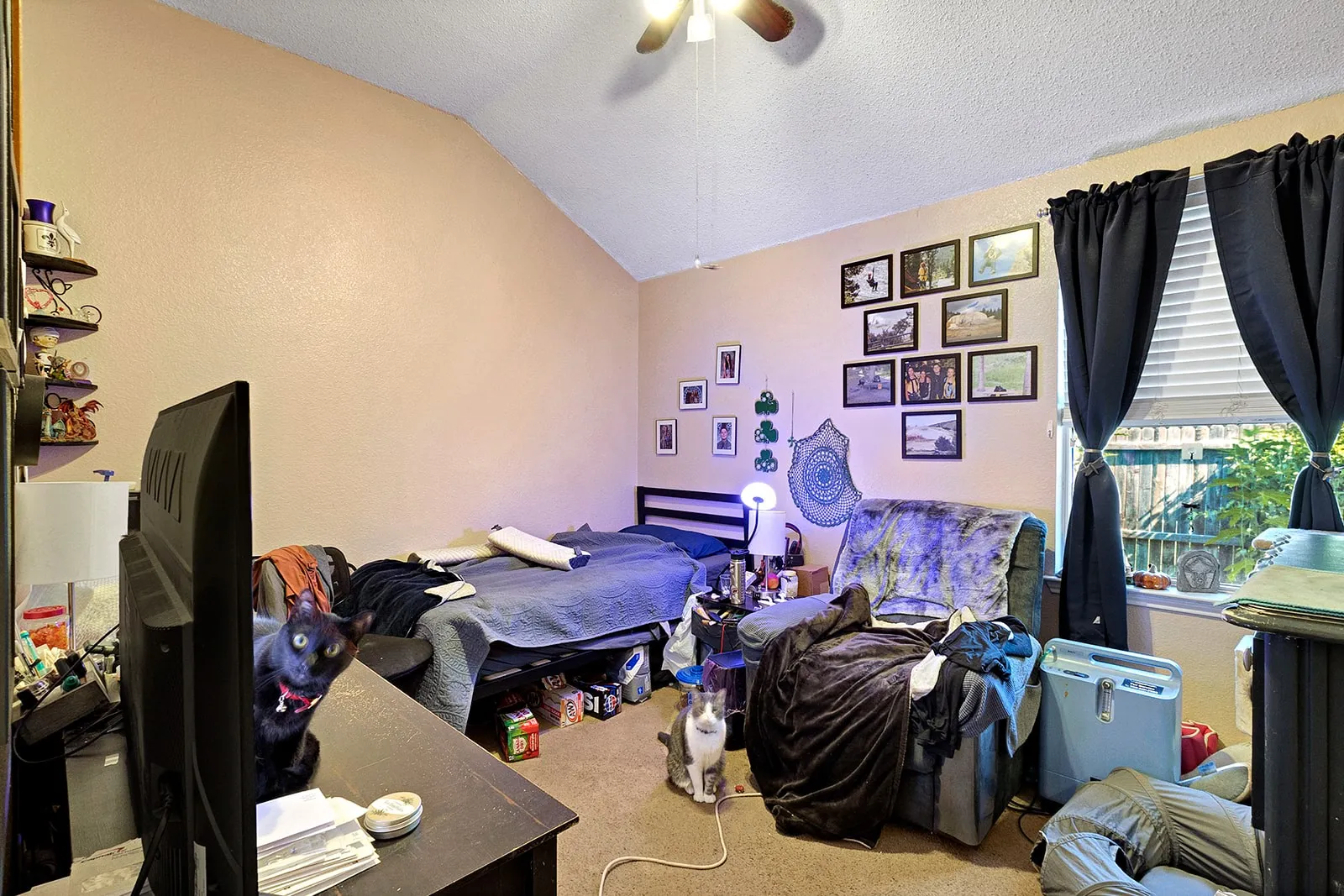 Image quality insufficient for description