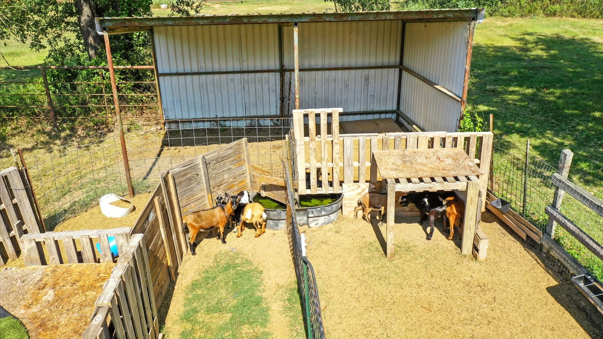 Farm For Sale in Erath County , 5929 County Road 371, Dublin, Texas 76446, 3 Bedroom, 2 Bathroom, Garage spaces, 1,235 Sqft, built in 1990, Price $499,000, mls#21348167, Real Estate Agent in Dublin, Homes For Sale in Erath county, Homes For Sale in Dublin, Realtor in Dublin Texas, Real Estate Brokerage Independent Realty Texas, Luminita Cordes Realtor