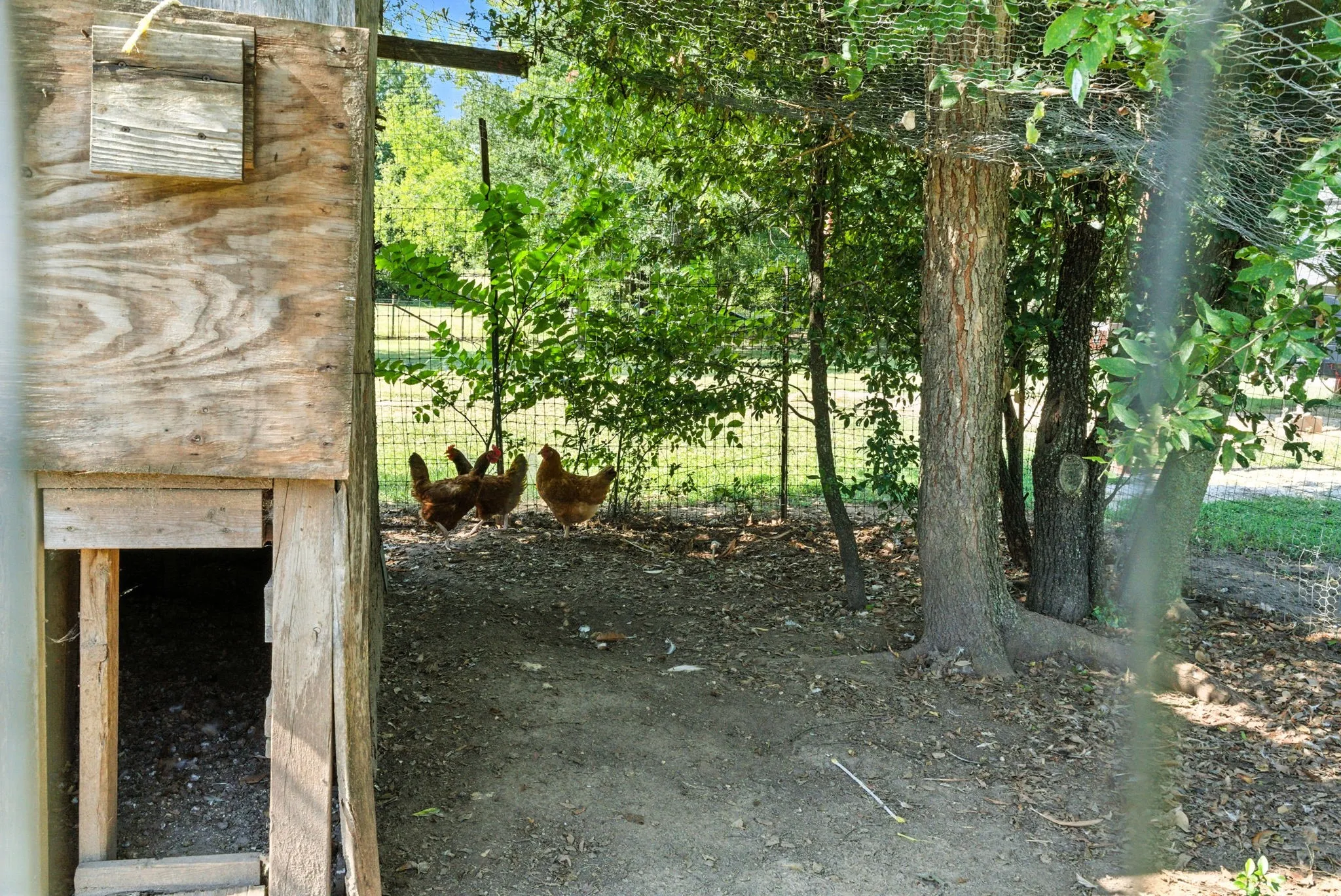 Farm For Sale in Erath County , 5929 County Road 371, Dublin, Texas 76446, 3 Bedroom, 2 Bathroom, Garage spaces, 1,235 Sqft, built in 1990, Price $499,000, mls#21348167, Real Estate Agent in Dublin, Homes For Sale in Erath county, Homes For Sale in Dublin, Realtor in Dublin Texas, Real Estate Brokerage Independent Realty Texas, Luminita Cordes Realtor