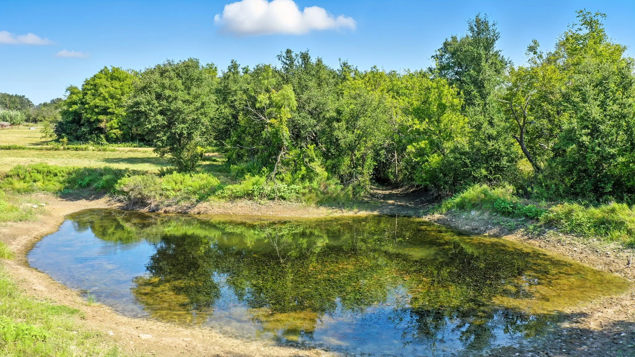 Farm For Sale in Erath County , 5929 County Road 371, Dublin, Texas 76446, 3 Bedroom, 2 Bathroom, Garage spaces, 1,235 Sqft, built in 1990, Price $499,000, mls#21348167, Real Estate Agent in Dublin, Homes For Sale in Erath county, Homes For Sale in Dublin, Realtor in Dublin Texas, Real Estate Brokerage Independent Realty Texas, Luminita Cordes Realtor