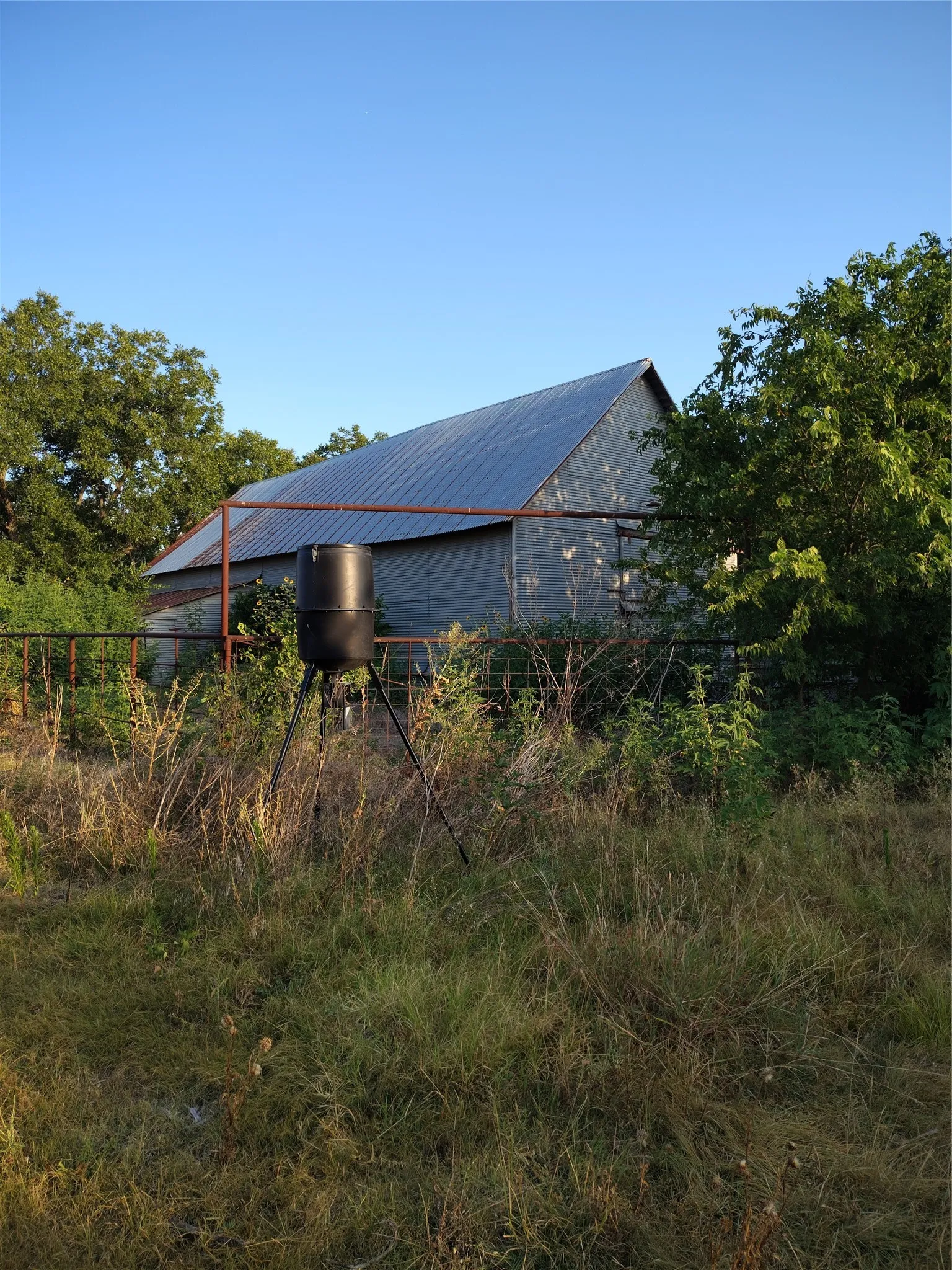 Ranch For Sale in Cooke County , 461 County Road 309, Valley View, Texas 76272, 0, 0, Garage spaces, 0 Sqft, built in 0, mls#21348417, Real Estate Agent in Valley View, Homes For Sale in Cooke county, Homes For Sale in Valley View, Realtor in Valley View Texas, Real Estate Brokerage Independent Realty Texas, Luminita Cordes Realtor