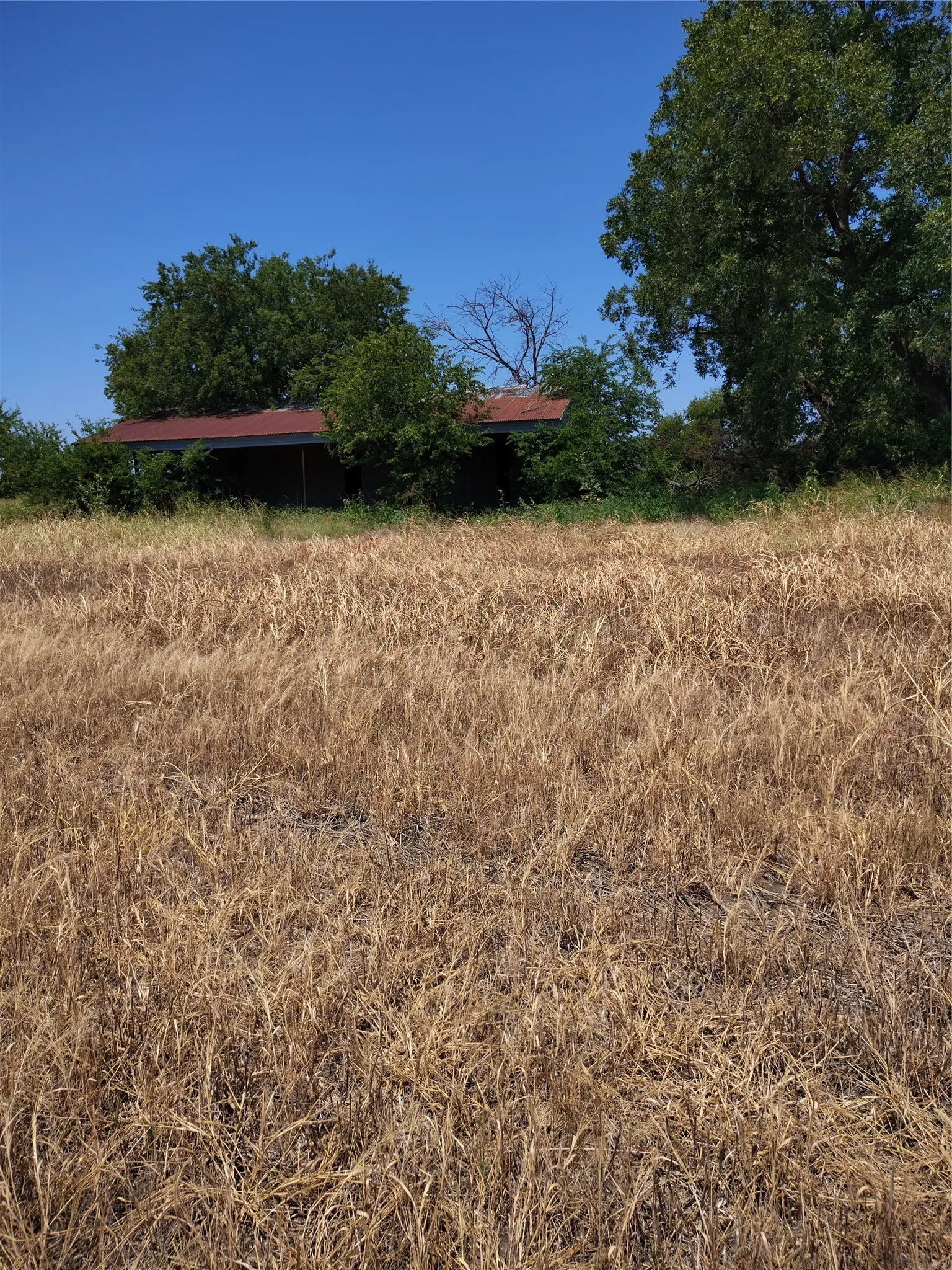 Ranch For Sale in Cooke County , 461 County Road 309, Valley View, Texas 76272, 0, 0, Garage spaces, 0 Sqft, built in 0, mls#21348417, Real Estate Agent in Valley View, Homes For Sale in Cooke county, Homes For Sale in Valley View, Realtor in Valley View Texas, Real Estate Brokerage Independent Realty Texas, Luminita Cordes Realtor