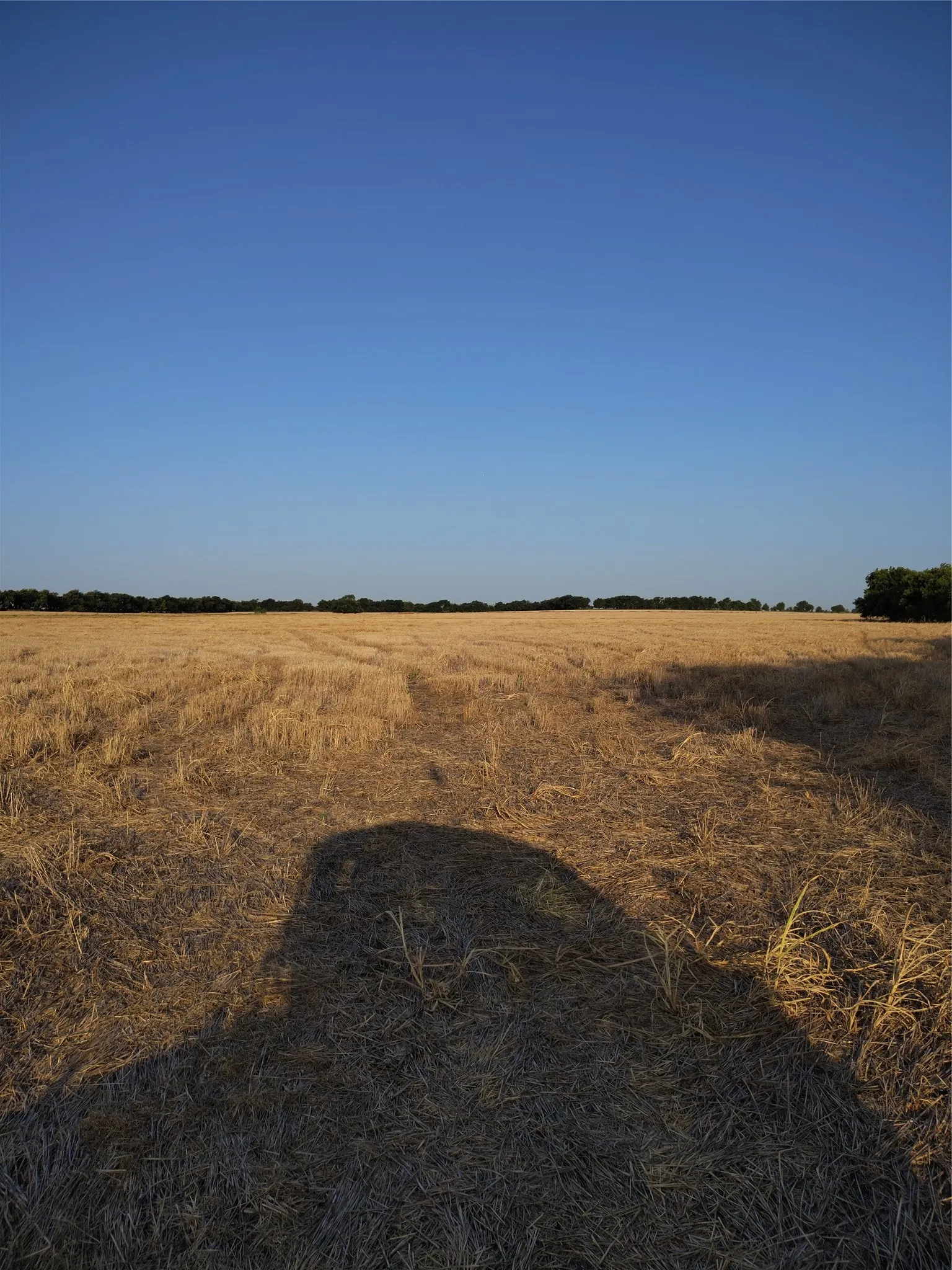 Ranch For Sale in Cooke County , 461 County Road 309, Valley View, Texas 76272, 0, 0, Garage spaces, 0 Sqft, built in 0, mls#21348417, Real Estate Agent in Valley View, Homes For Sale in Cooke county, Homes For Sale in Valley View, Realtor in Valley View Texas, Real Estate Brokerage Independent Realty Texas, Luminita Cordes Realtor