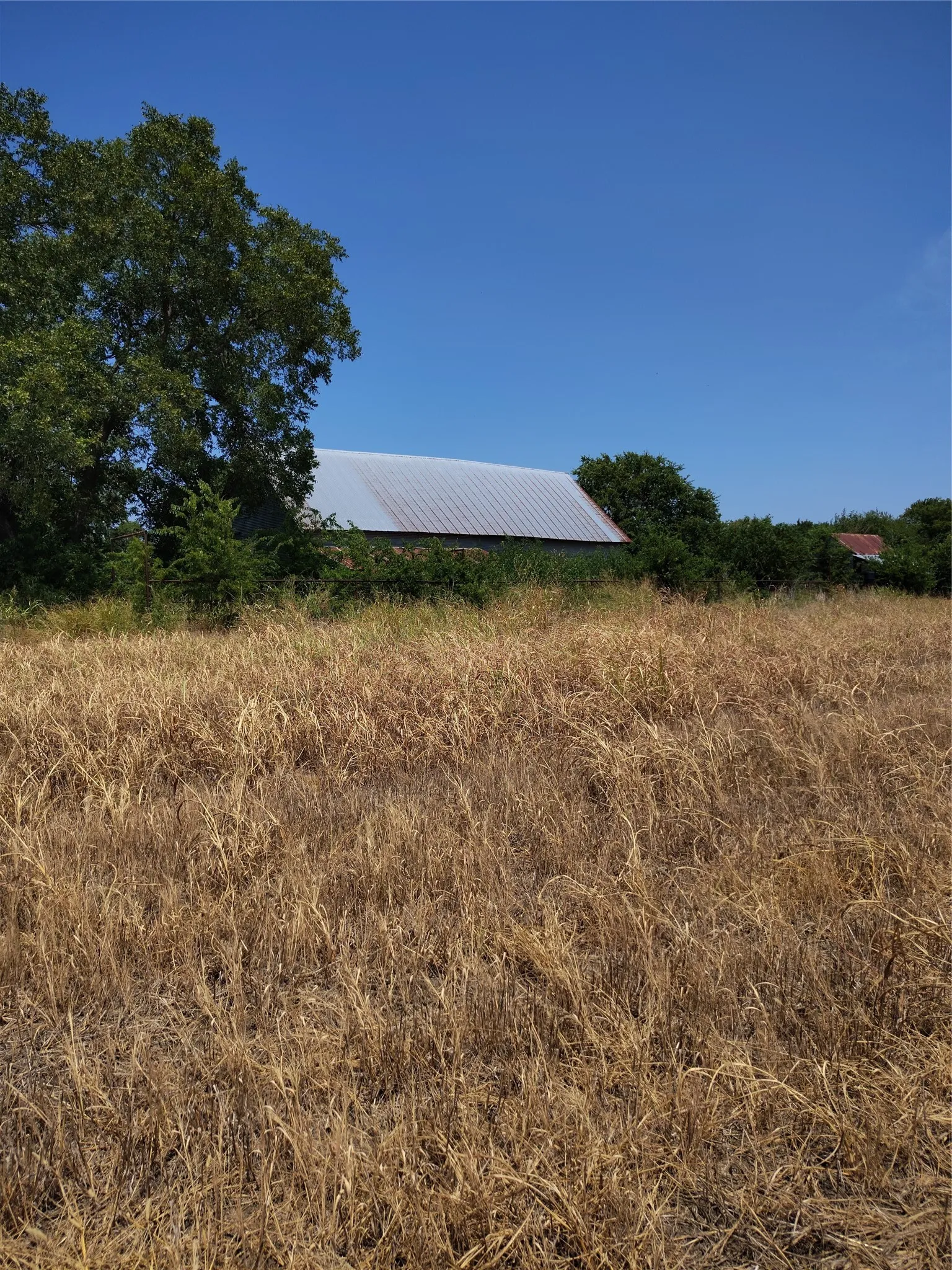 Ranch For Sale in Cooke County , 461 County Road 309, Valley View, Texas 76272, 0, 0, Garage spaces, 0 Sqft, built in 0, mls#21348417, Real Estate Agent in Valley View, Homes For Sale in Cooke county, Homes For Sale in Valley View, Realtor in Valley View Texas, Real Estate Brokerage Independent Realty Texas, Luminita Cordes Realtor