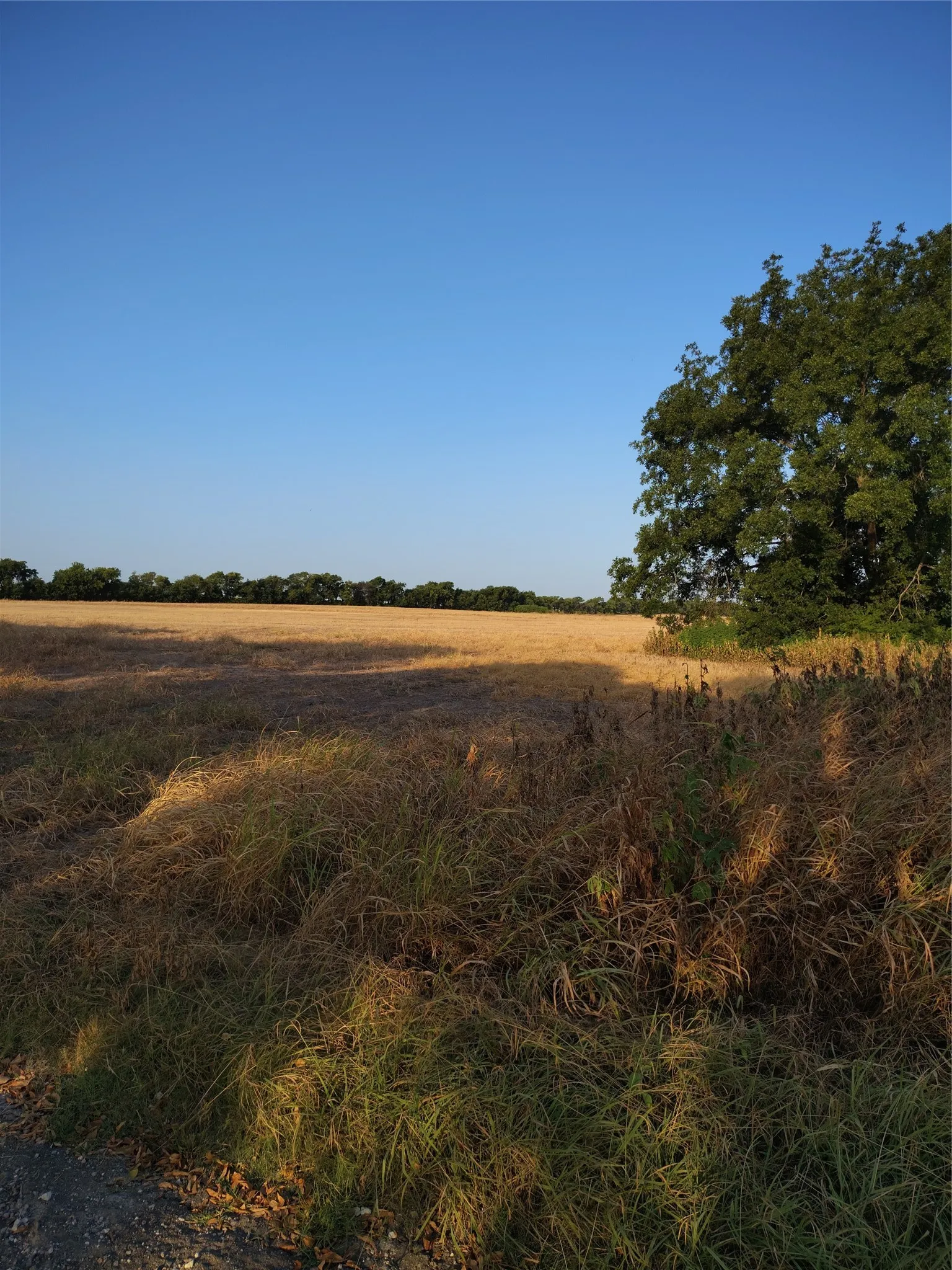 Ranch For Sale in Cooke County , 461 County Road 309, Valley View, Texas 76272, 0, 0, Garage spaces, 0 Sqft, built in 0, mls#21348417, Real Estate Agent in Valley View, Homes For Sale in Cooke county, Homes For Sale in Valley View, Realtor in Valley View Texas, Real Estate Brokerage Independent Realty Texas, Luminita Cordes Realtor