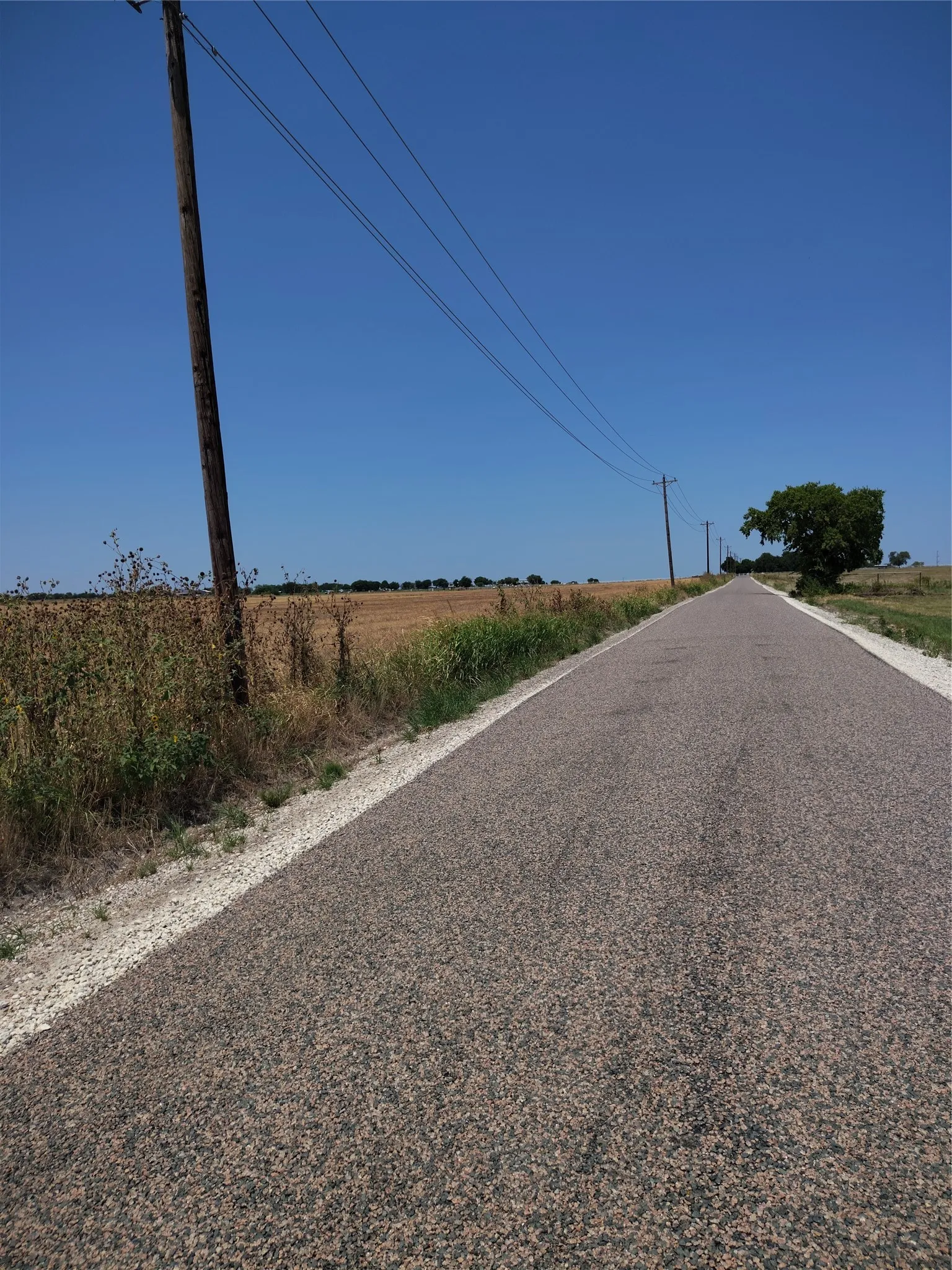 Ranch For Sale in Cooke County , 461 County Road 309, Valley View, Texas 76272, 0, 0, Garage spaces, 0 Sqft, built in 0, mls#21348417, Real Estate Agent in Valley View, Homes For Sale in Cooke county, Homes For Sale in Valley View, Realtor in Valley View Texas, Real Estate Brokerage Independent Realty Texas, Luminita Cordes Realtor