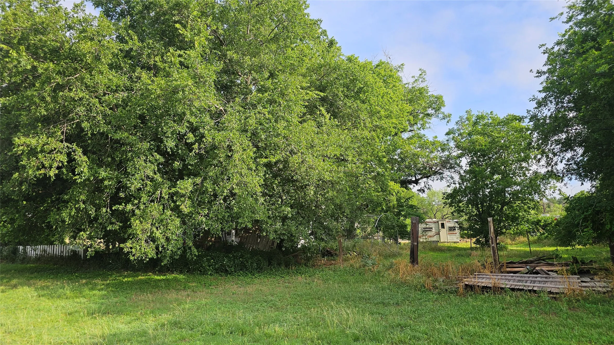 Expansive green space featuring a natural landscape and mature trees