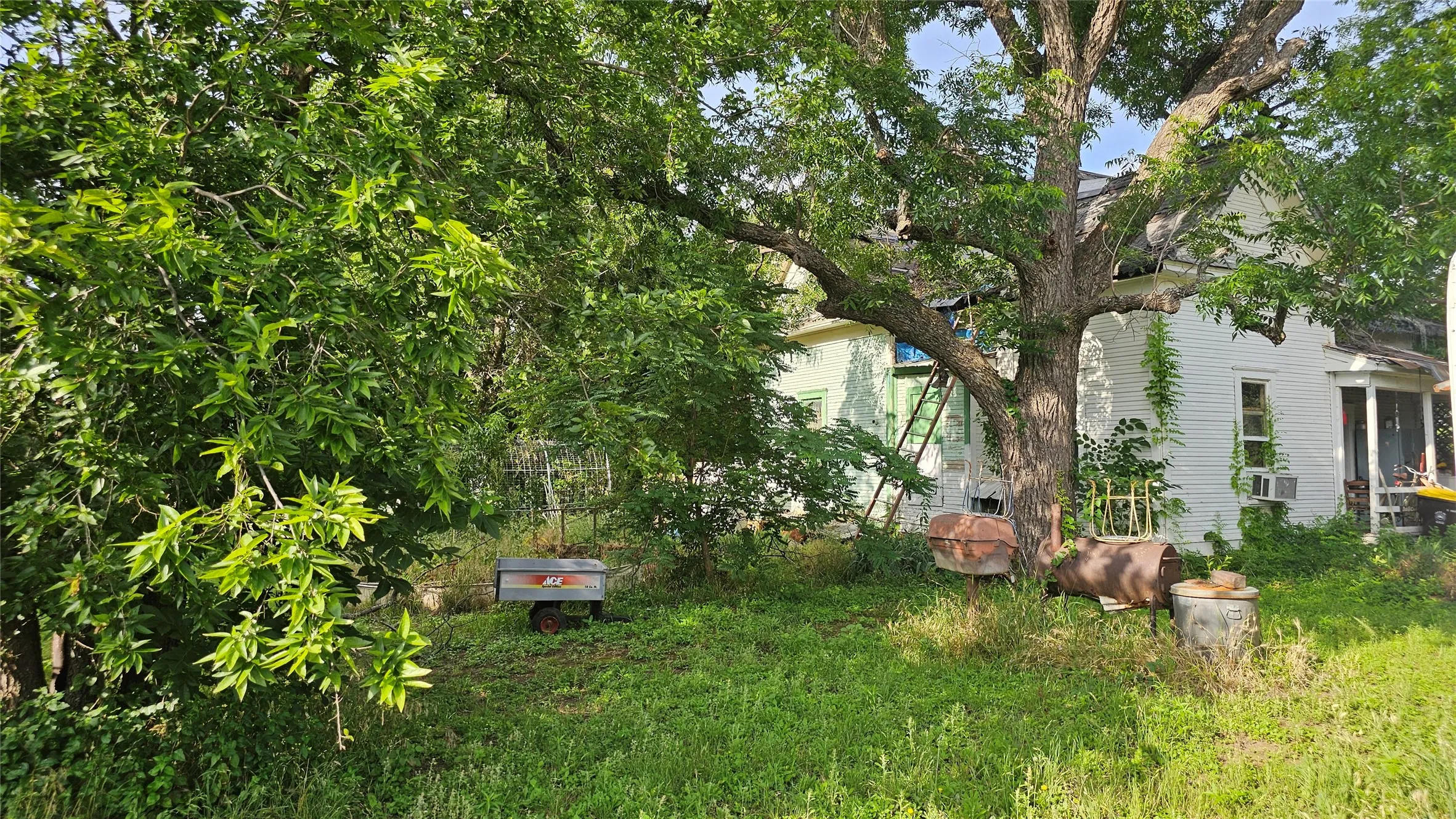 Exterior property featuring a prominent mature tree with extensive foliage, a white siding structure, and additional green landscaping