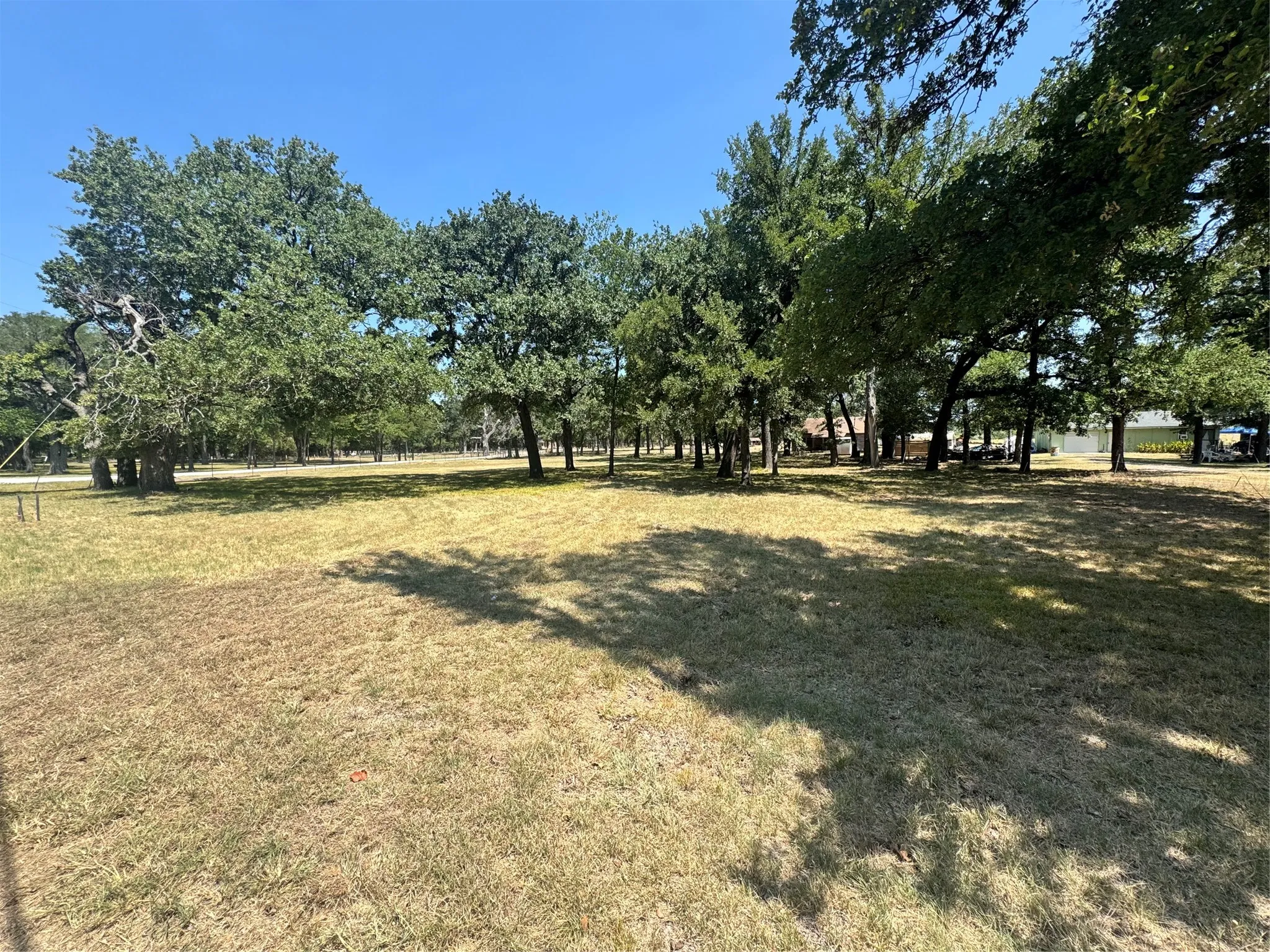 Expansive open lot featuring mature trees providing natural shading